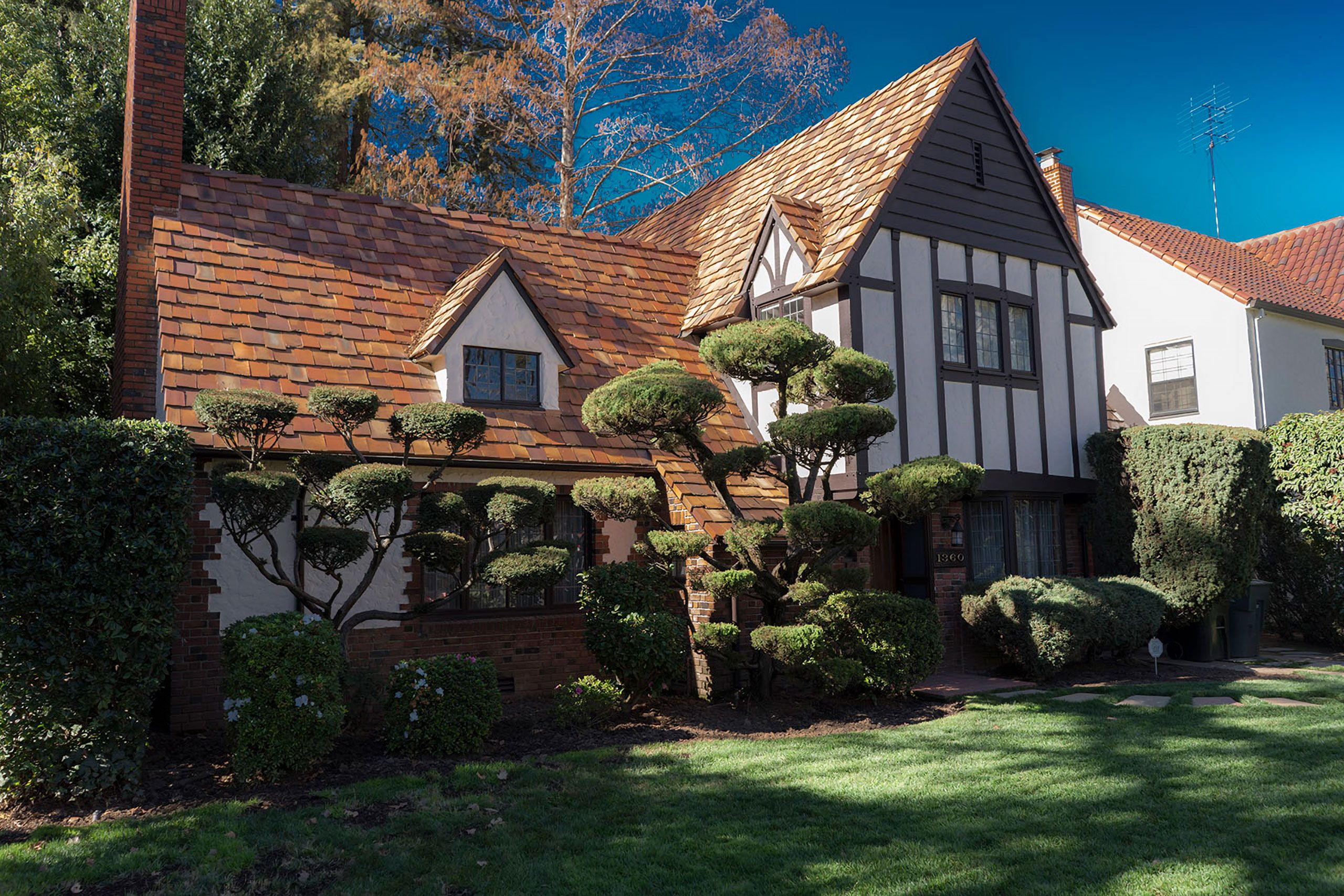 Tutor house an topiary in the fab fifties Sacroiemento Calfirinia