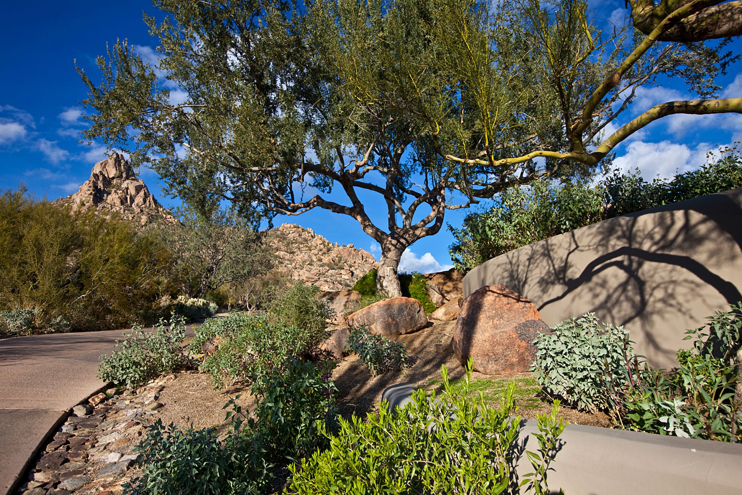 pinnacle peak Scottsdale Arizona