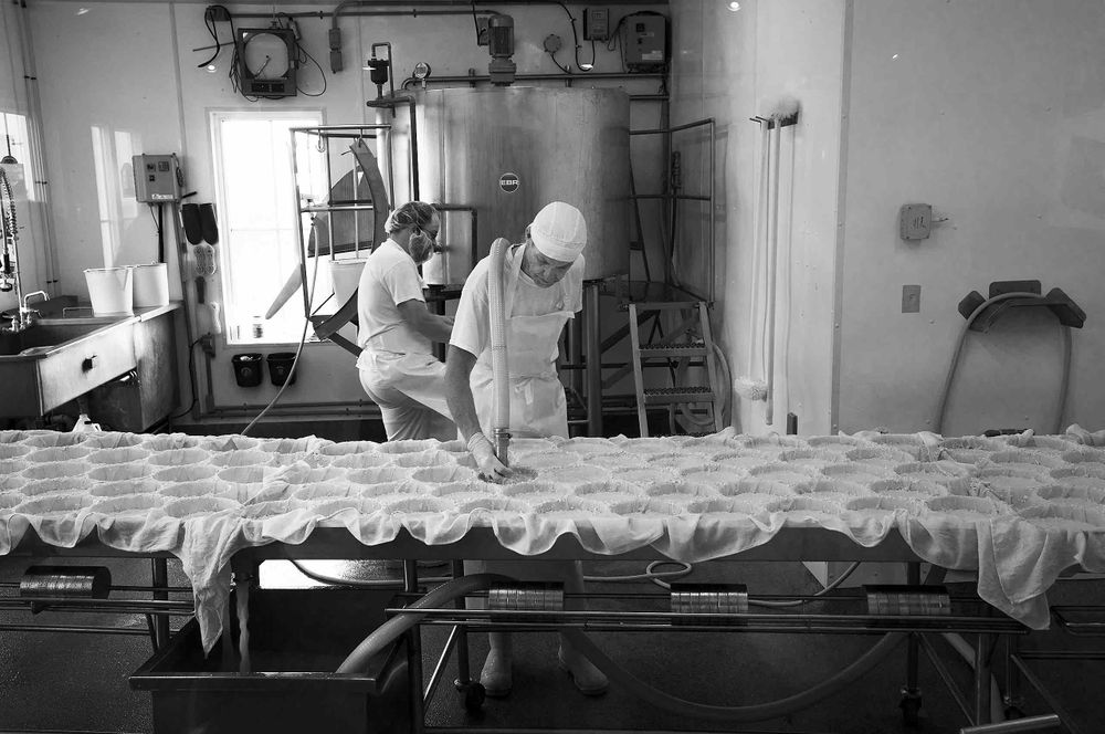 Making cheese FROMAGERIE DU PIED DE VENT les iles de la madeline