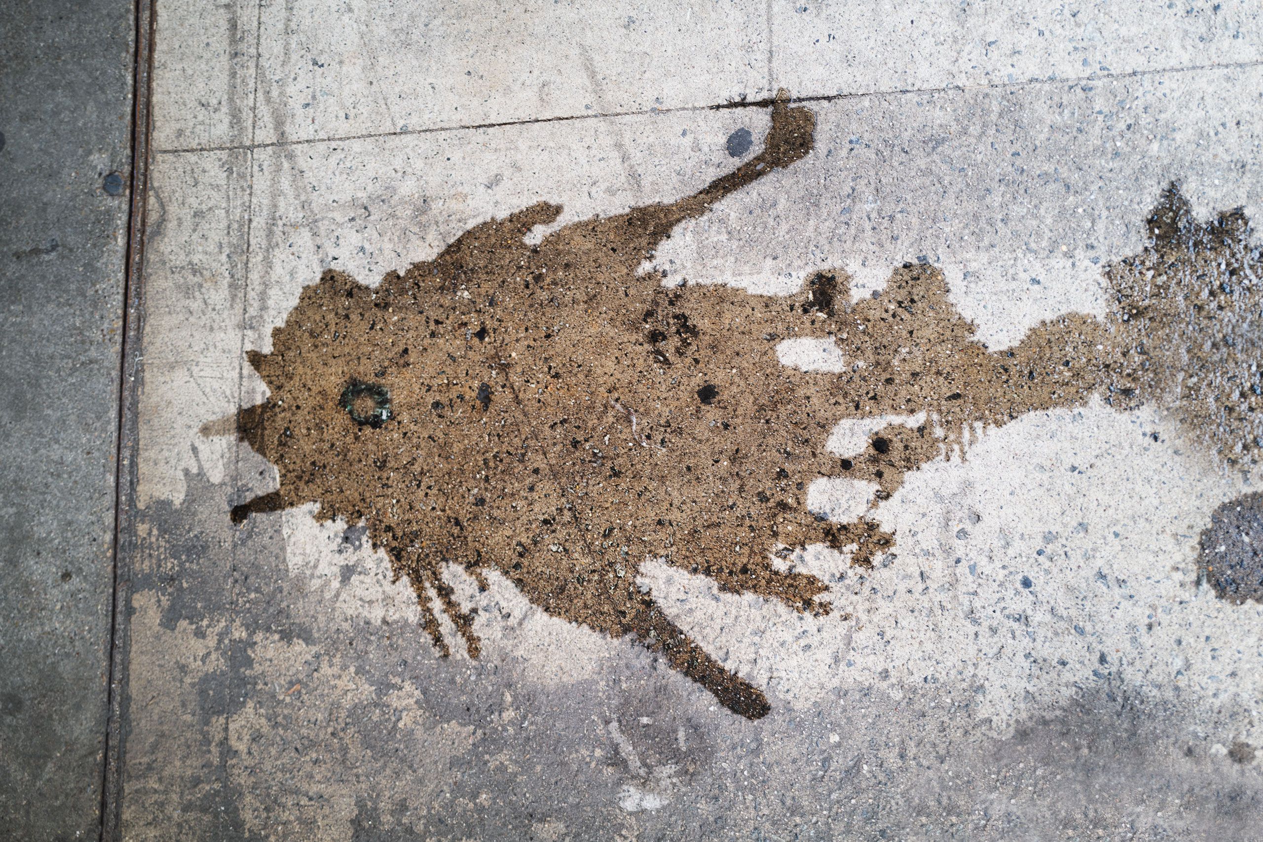 Fish shape in fluid on sidewalk in New York City