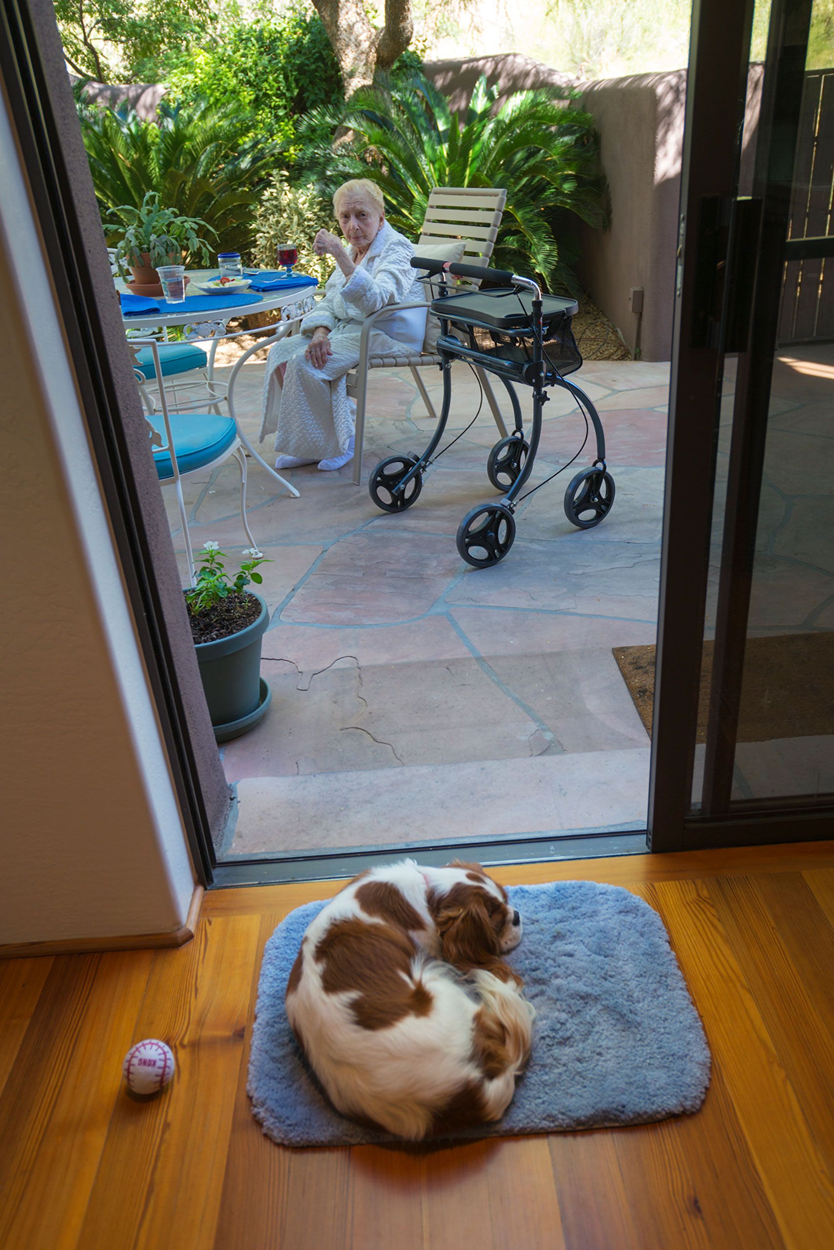 mom and puppy old woman Cavalier King Charles Spaniel