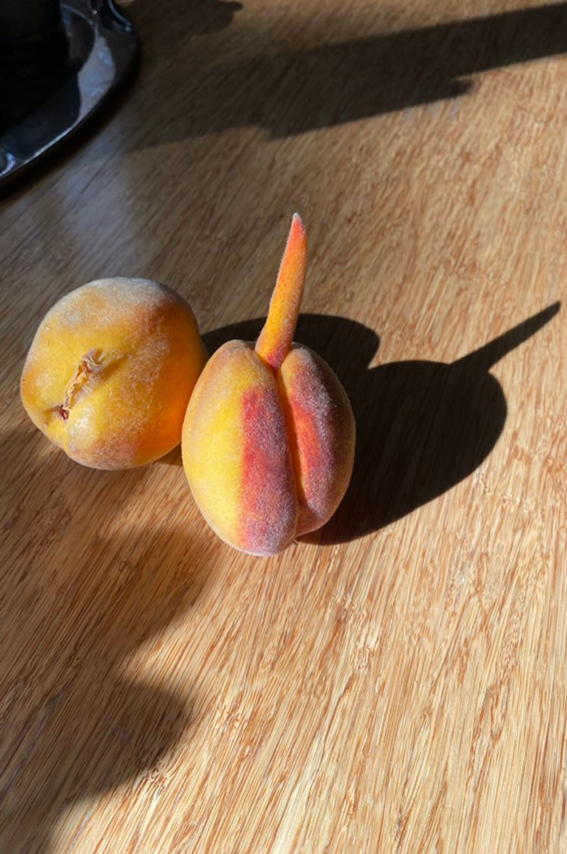 084AB4E3-8AA7-4EC6-8436-8679785D081F_1_105_c copy.jpg