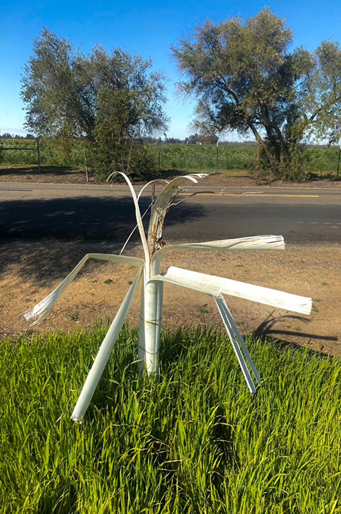 E02D7EDD-F8EA-4682-B3FA-BBB074F2E4B5_1_105_c copy.jpg