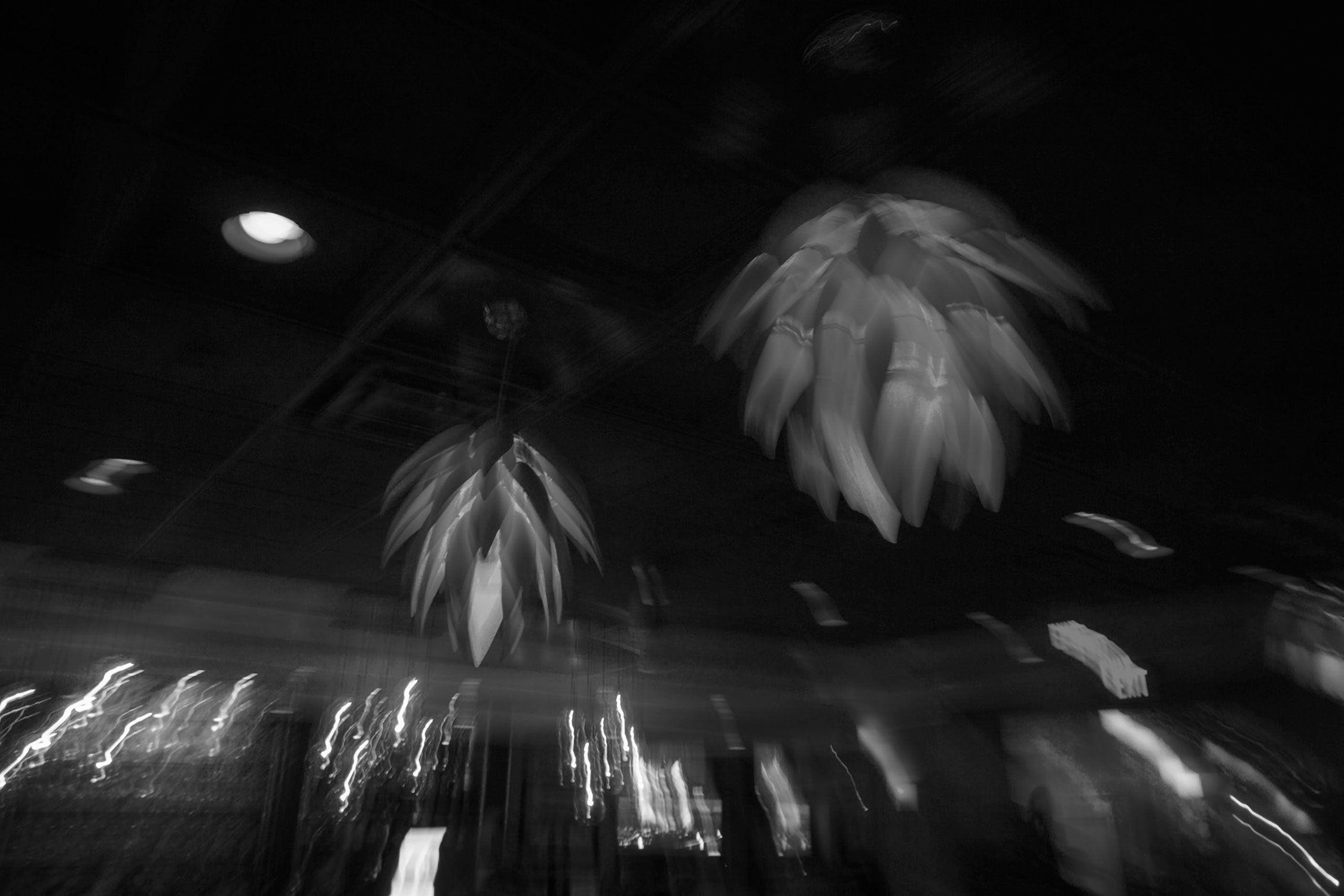 B&W abstract of palm trees Santa Rosa Beach Flordia 