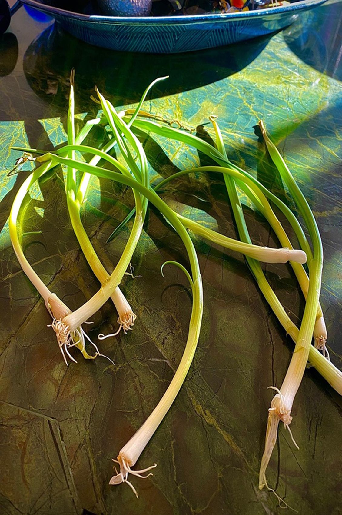 5FD0D54E-28C1-4162-8BC7-4B1D3108F3DC_1_105_c copy.jpg