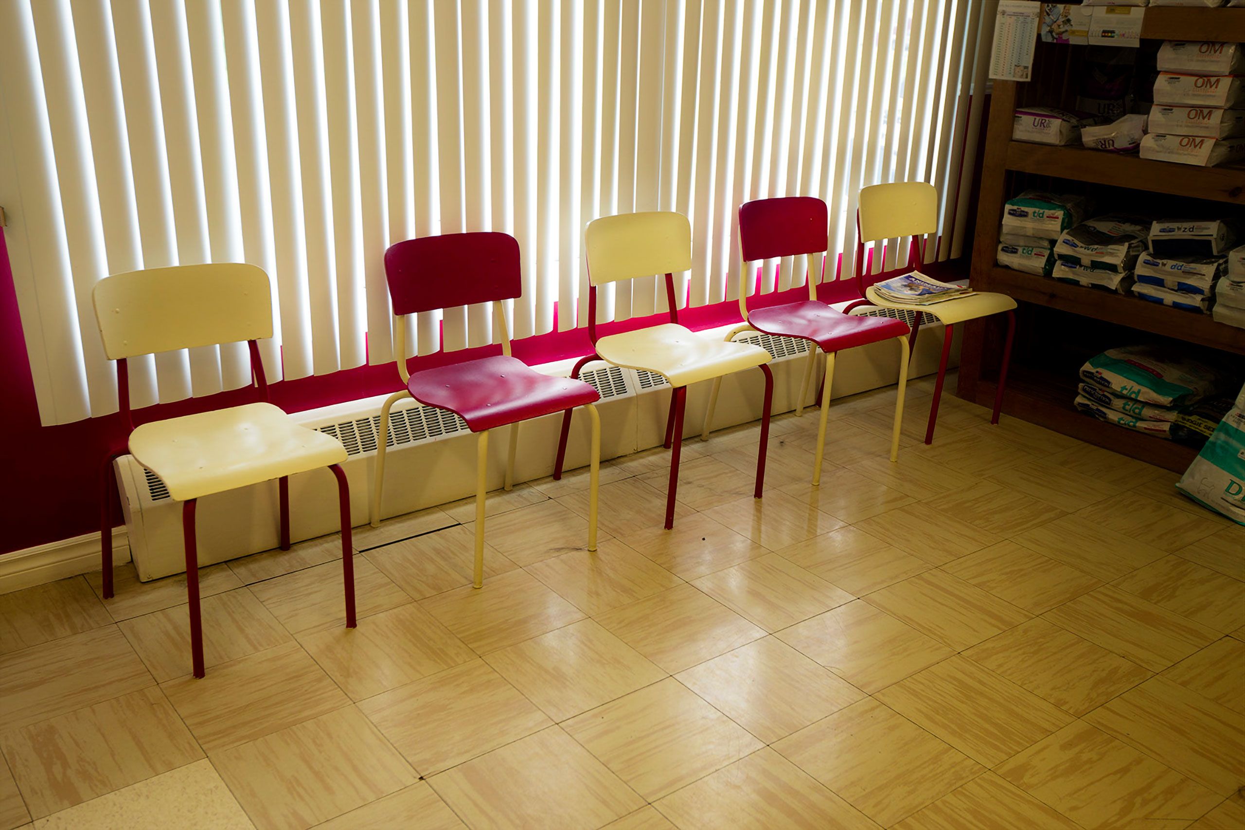 chairs in waiting room at veterinarian Magdalen Islands Îles de la Madeleine Quebec Canada