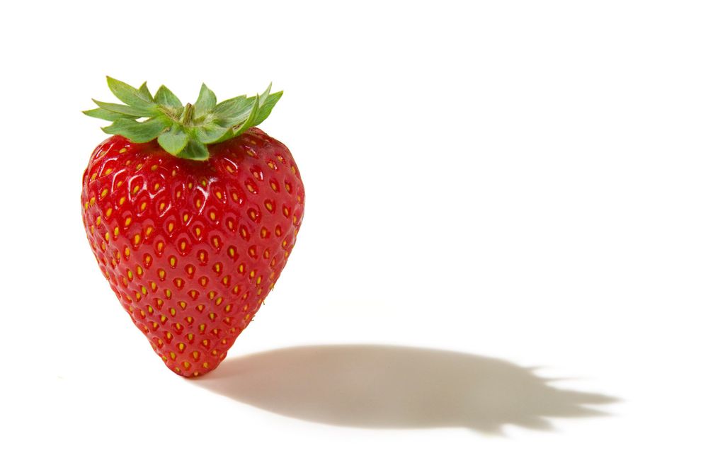 strawberry for Hannaford Brothers Trucking