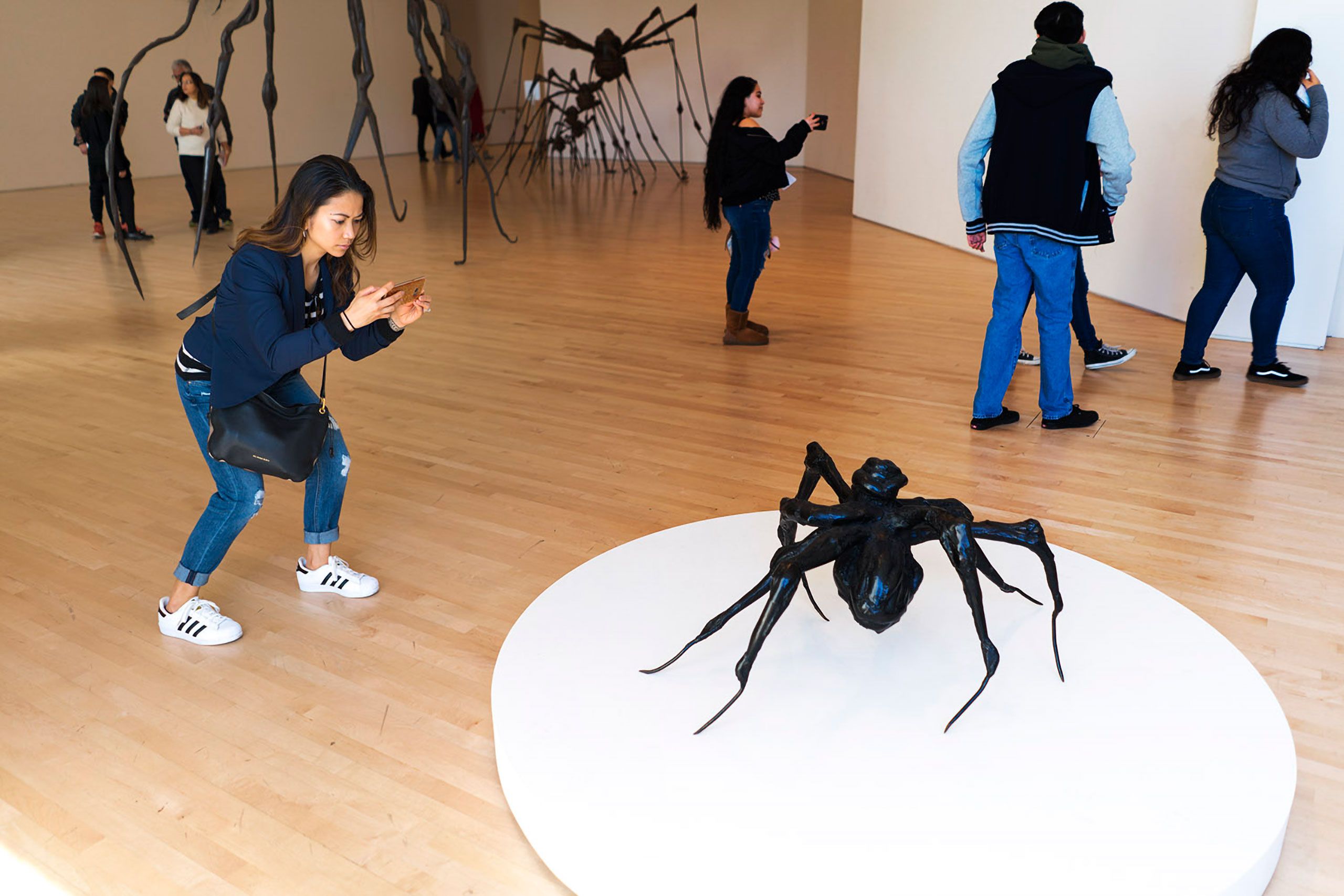 san francisco museum of modern art louise bourgeois spiders