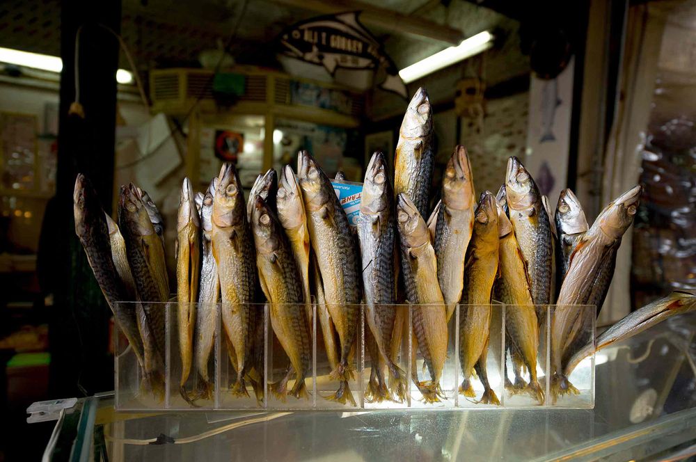 Dried fish in Istanbul turkey