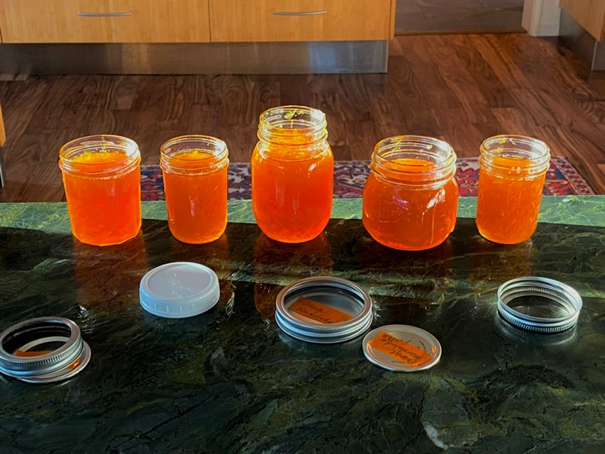 3CCFD3A1-FDAC-417F-99D3-DB1103C617D9_1_105_c copy.jpg