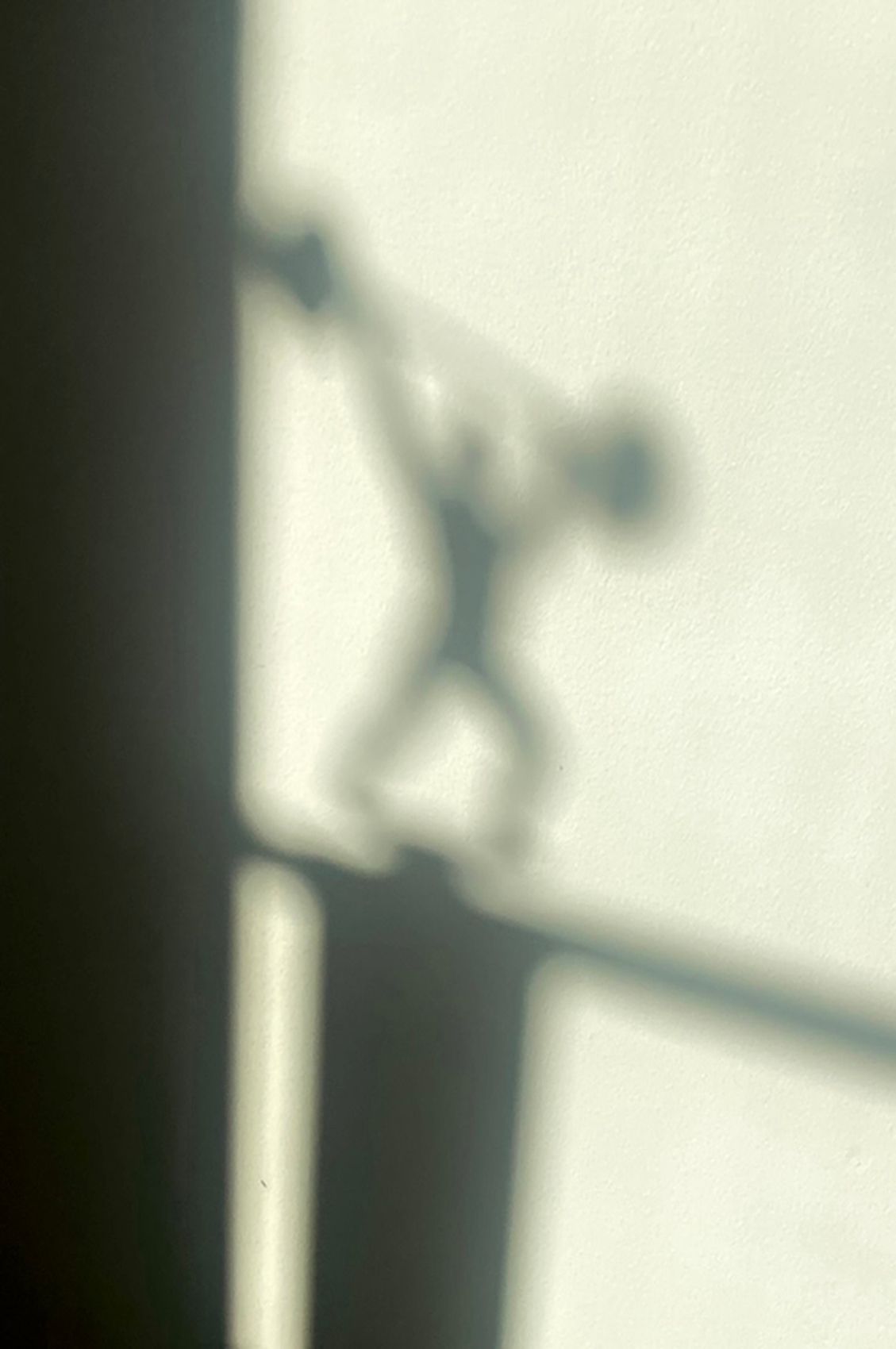 8F6ACE45-6572-4BA1-8FD8-EDC7B70FA422_1_105_c copy.jpg