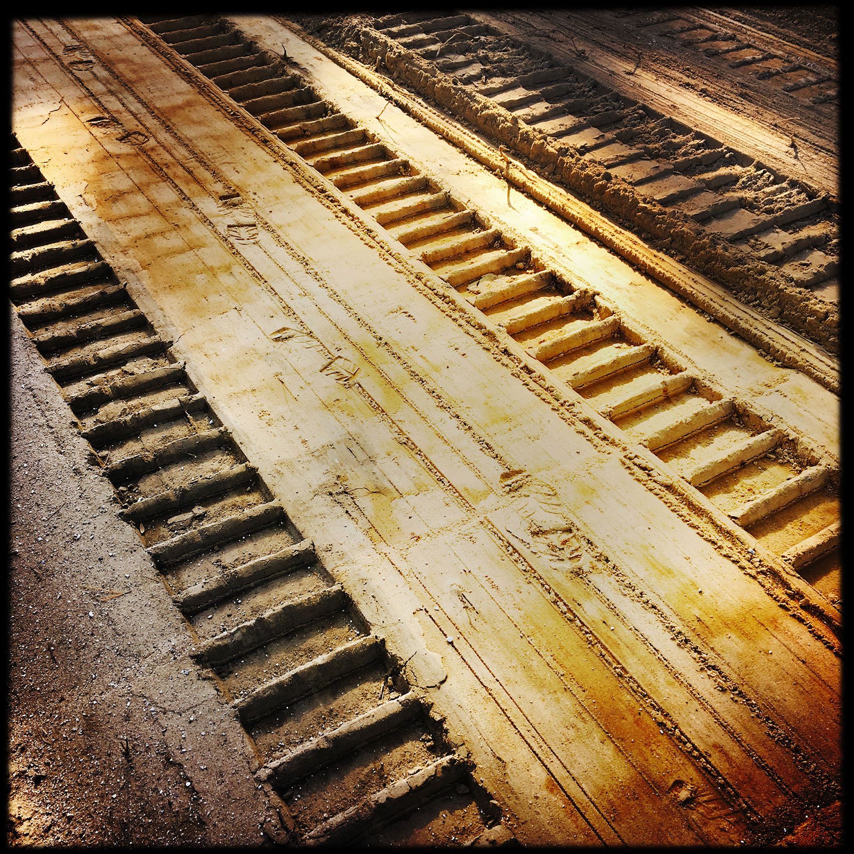 Bulldozer tacks in sand Grayton Beach Santa Rosa Beach Flordia 
