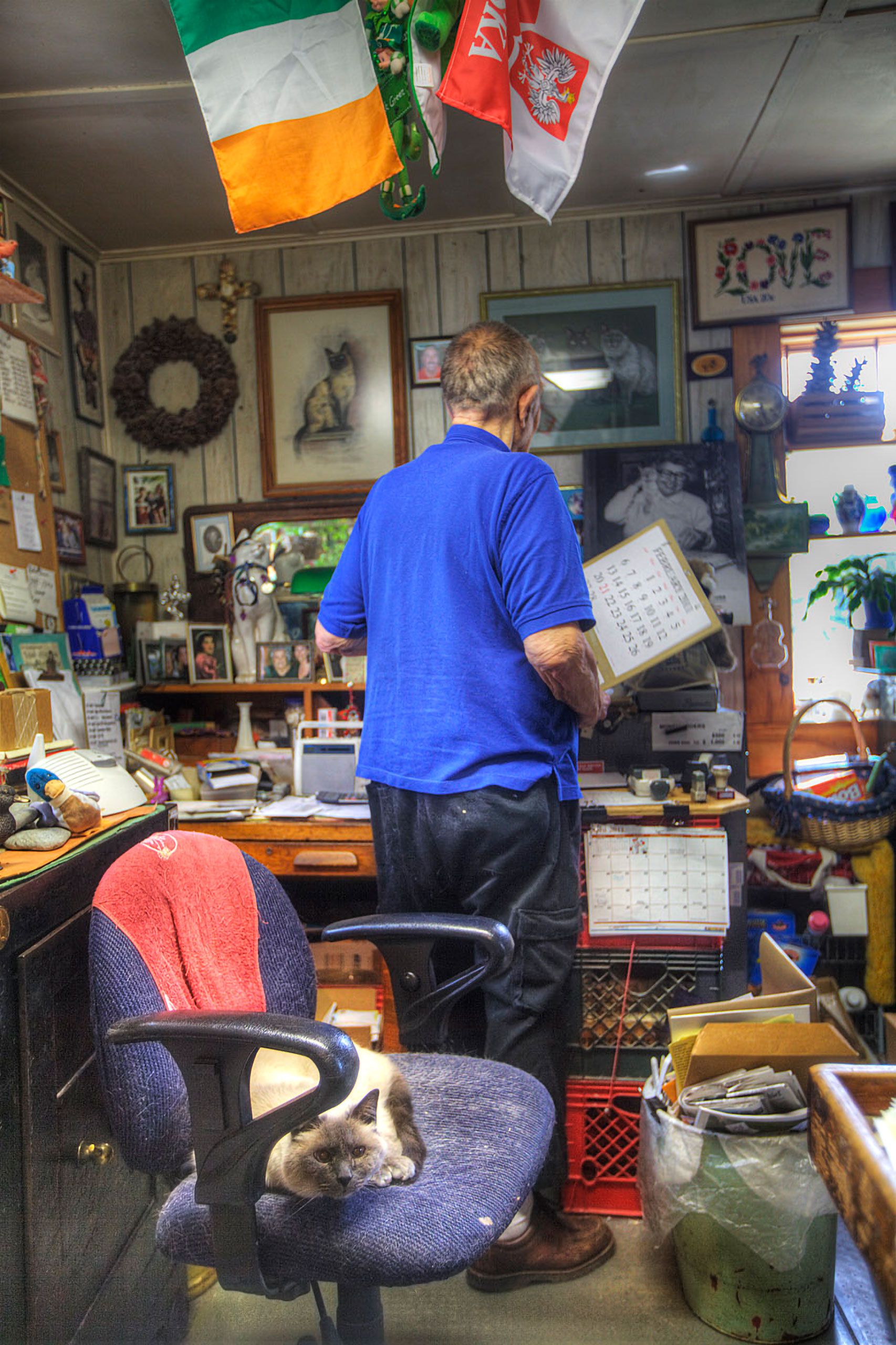 beloved cat a cape elizabeth post office