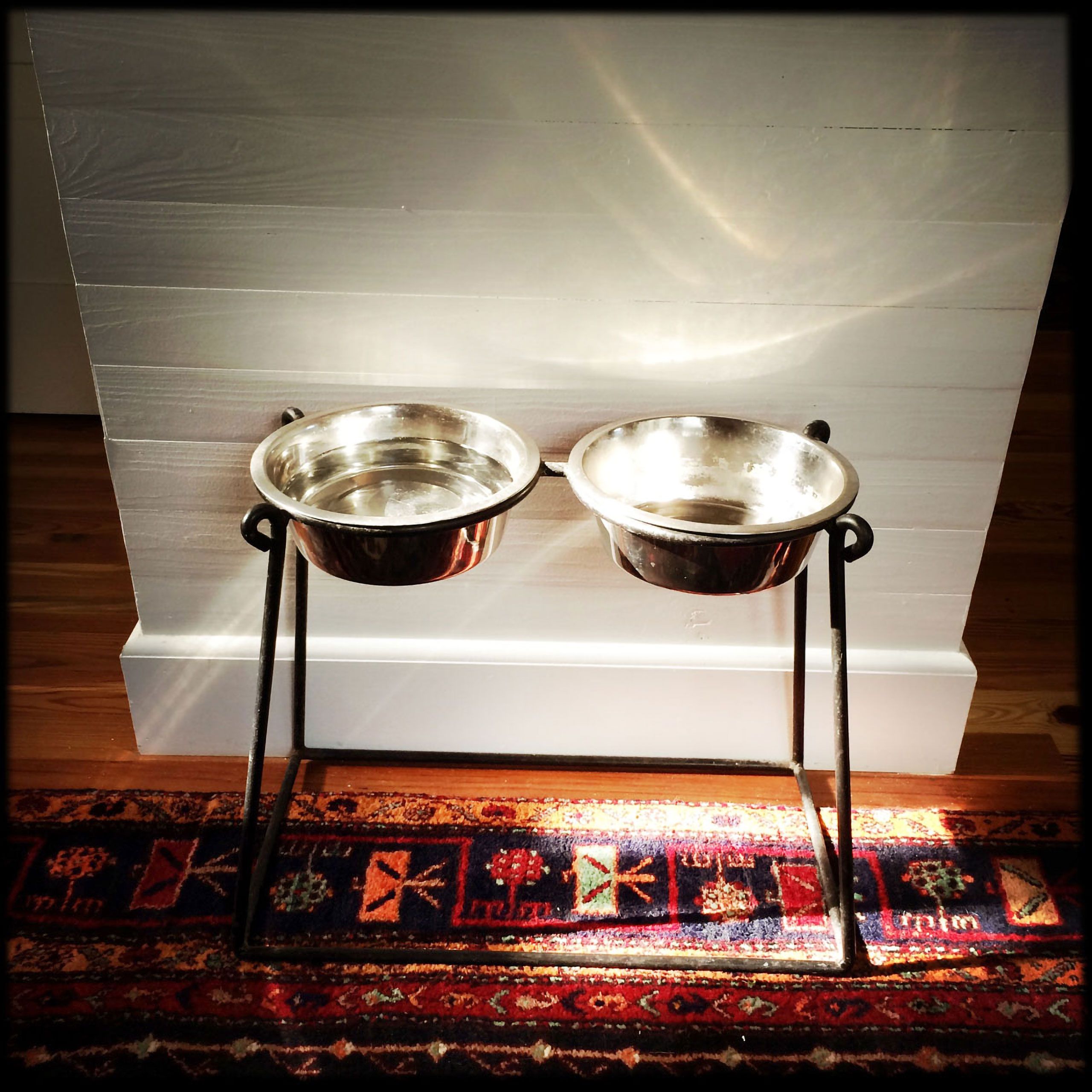 Dot food bowls globing in blue mountain beac seat roos beach flordia