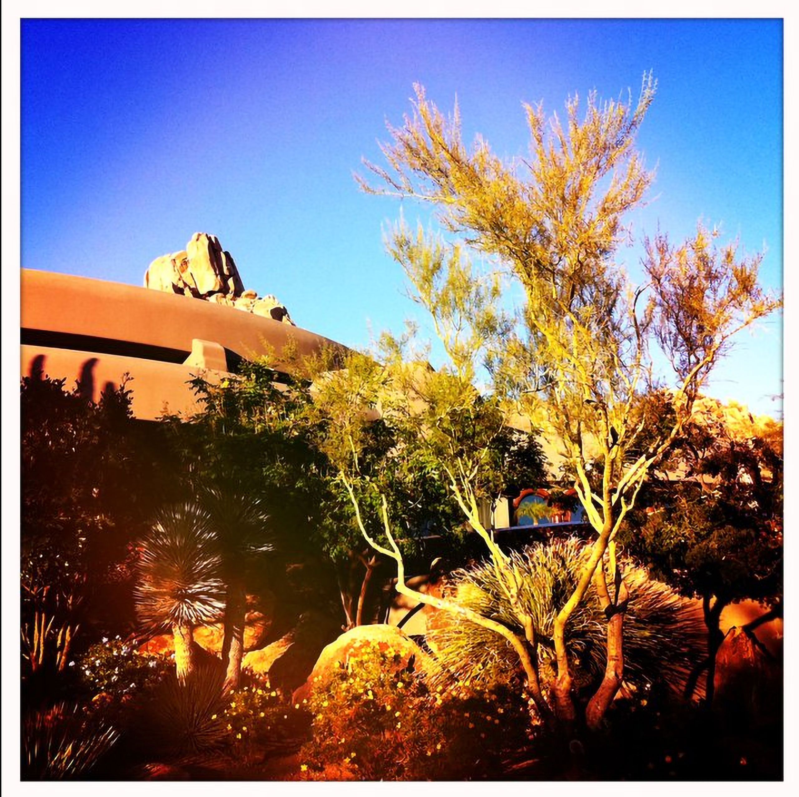 pennicale peak scottsdale arizona