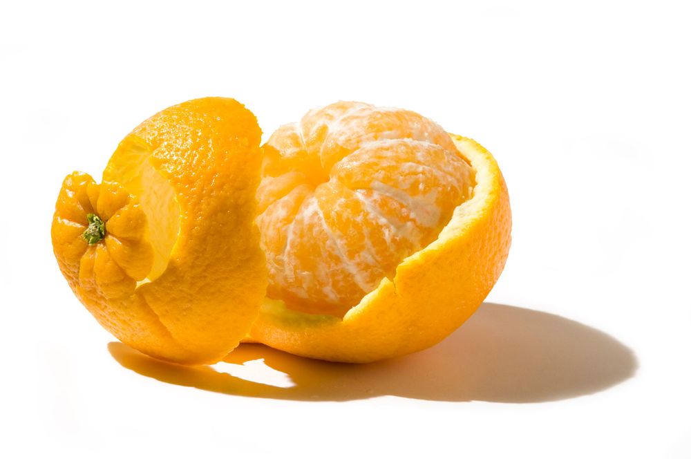 studio commercial photography of orange for Hannaford Trucking