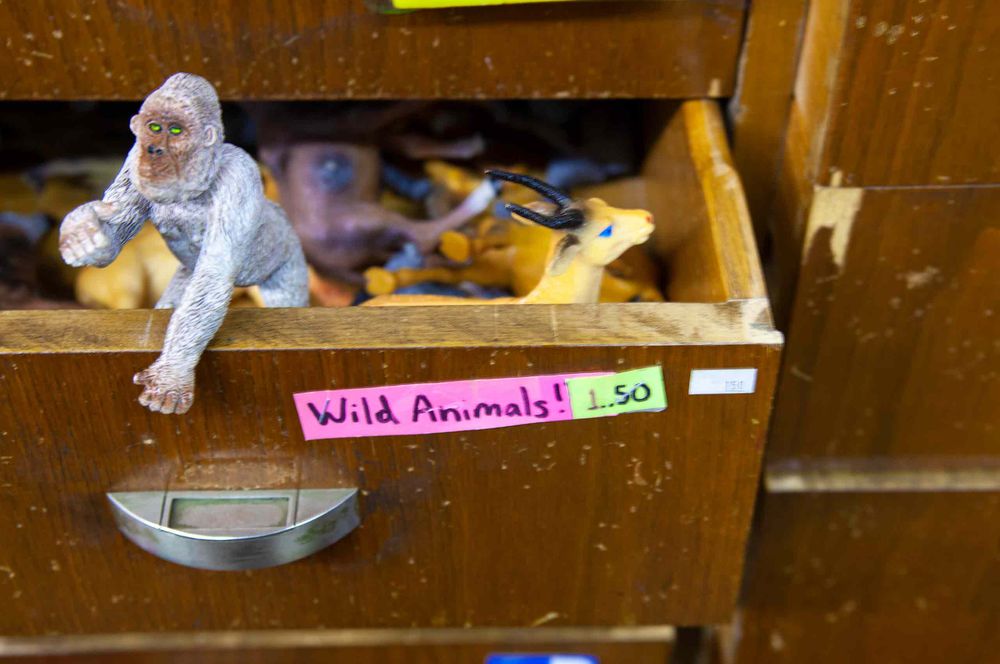 Draw full of wild animals only $1.50 Gorilla antelope The forks Maine