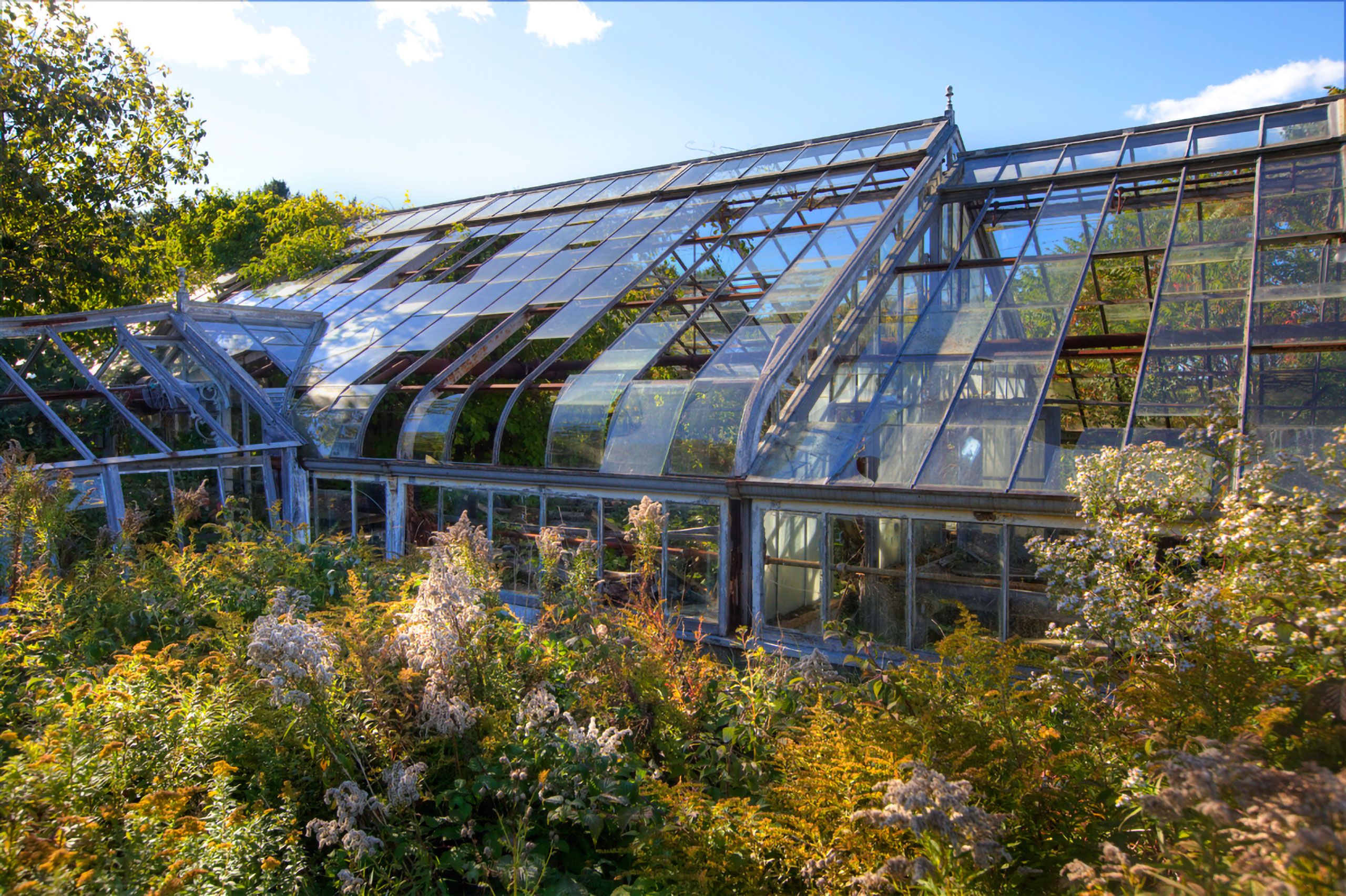 abandoned greenhouse Scarborough Maine