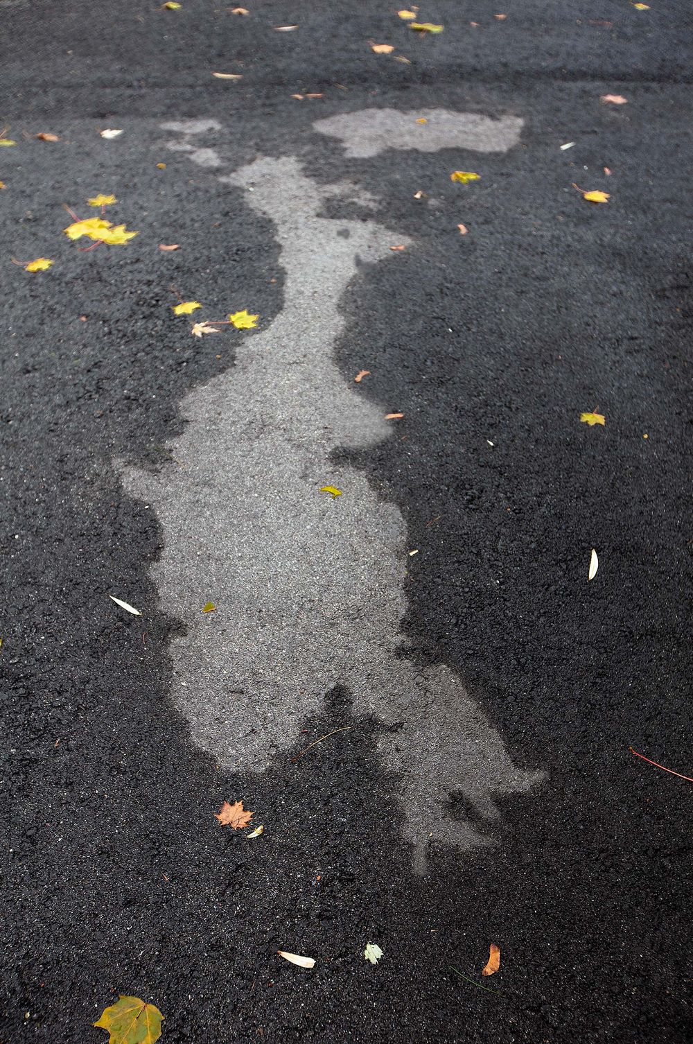 marge Simpson in hight heel boot  portland maine