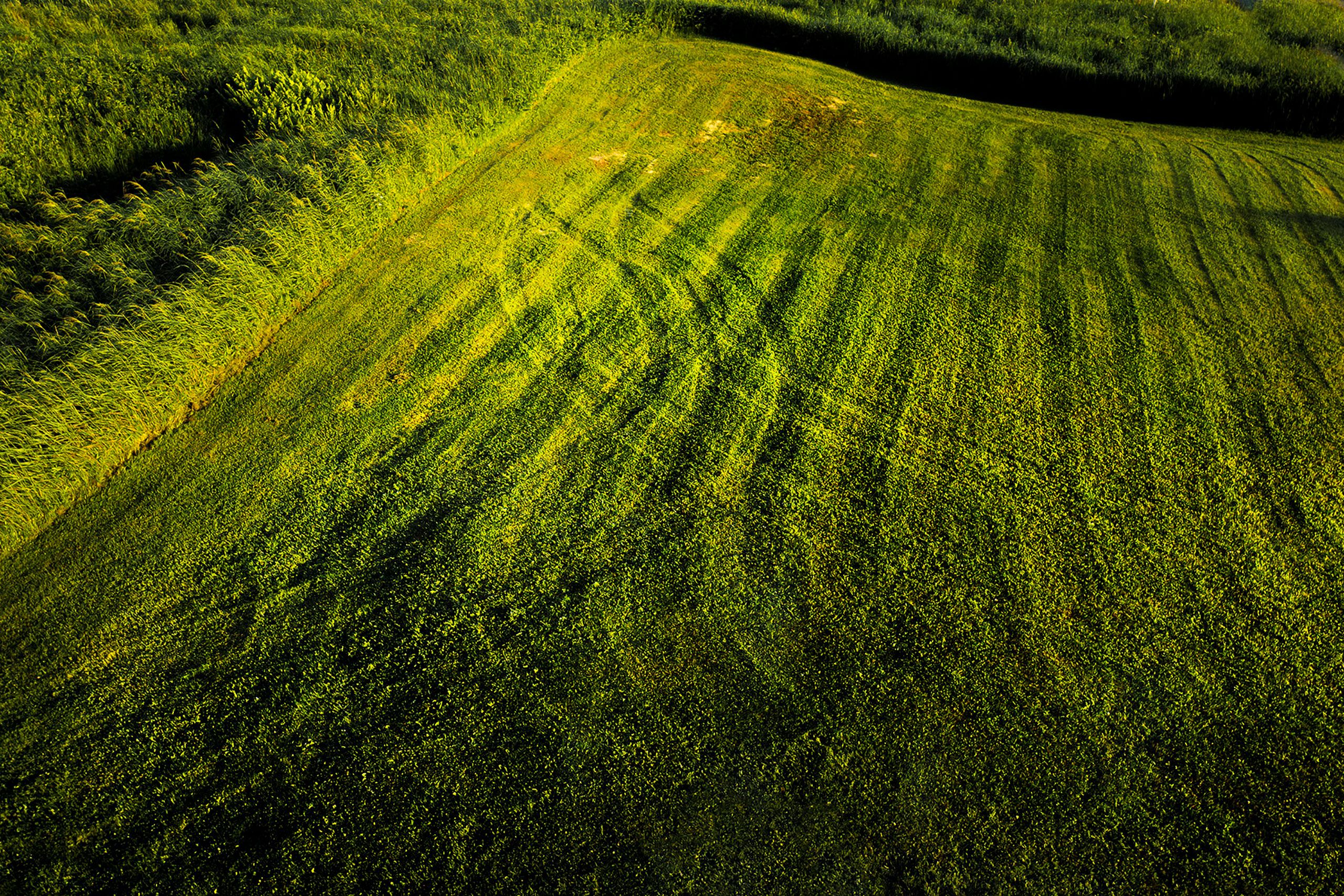 marks in lawn  Magdalen Islands Îles de la Madeleine Quebec Canada  Harve Aubert 