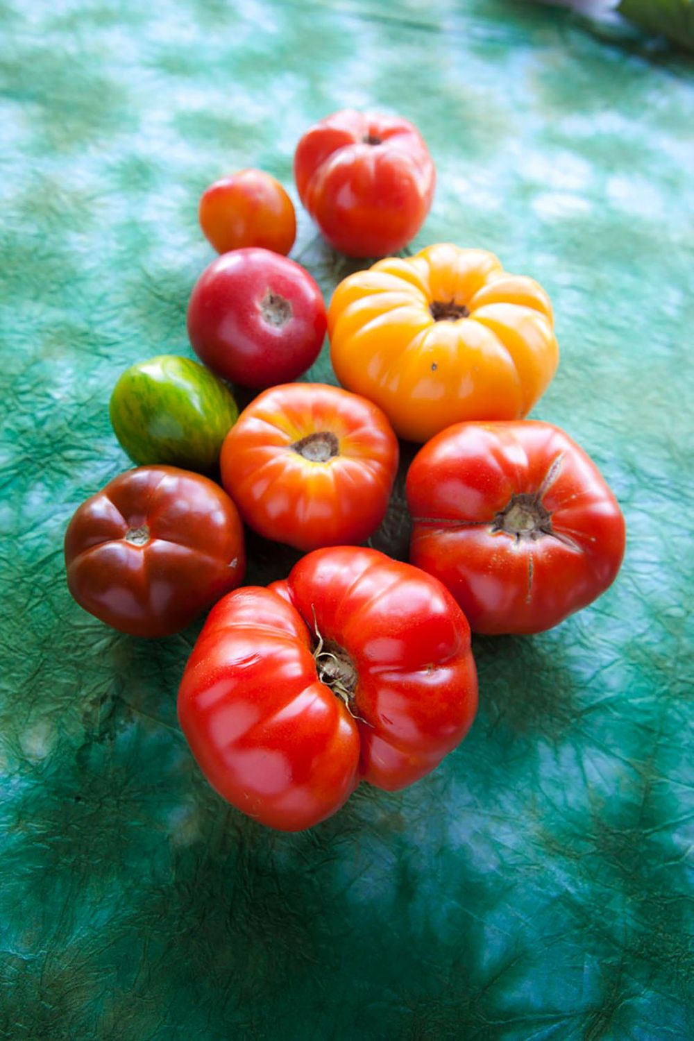 Studio photography still life of heirloom yomatoe