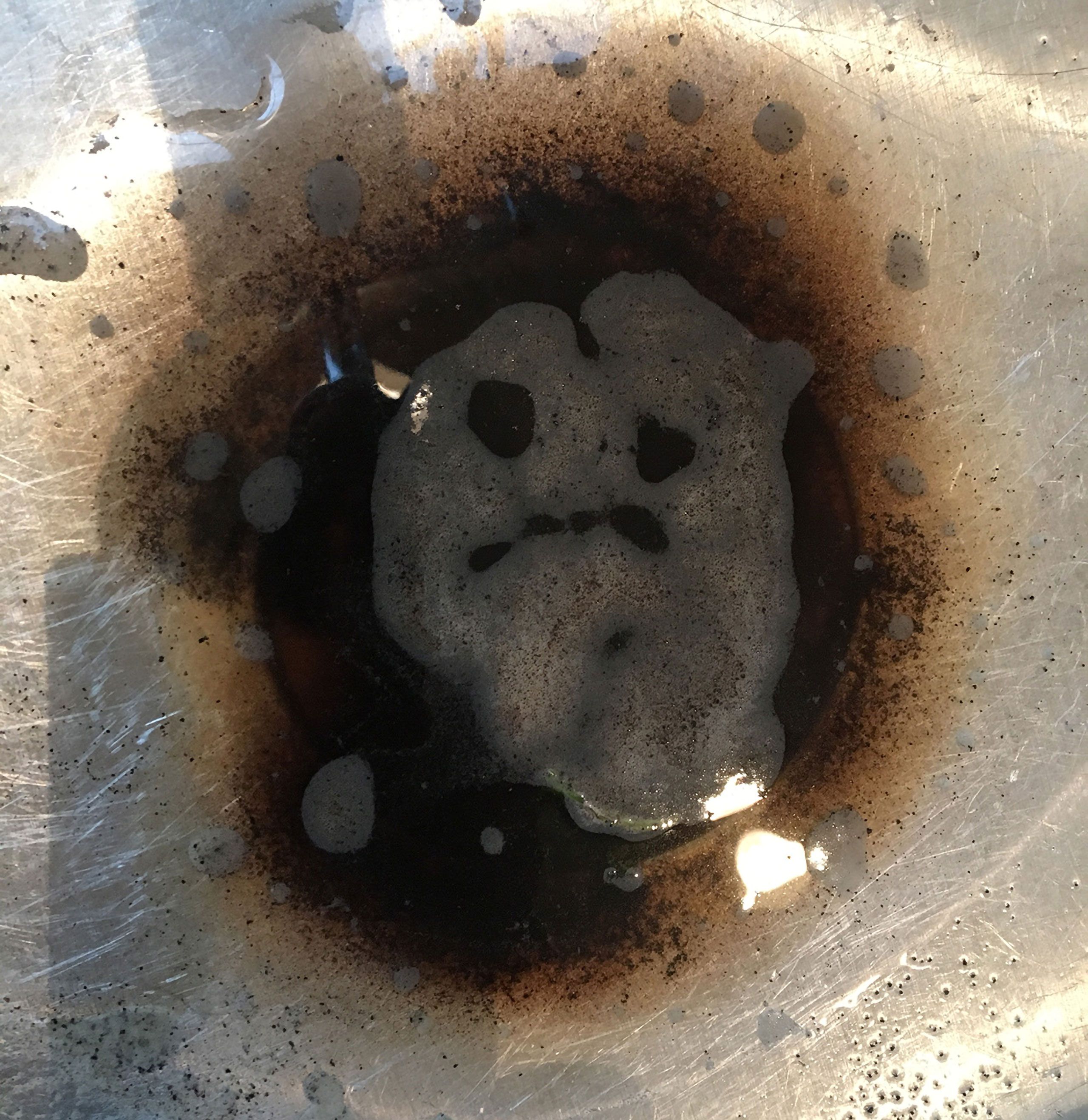 Face in the sink Warren  Roos photo why studio south Portland  Maine