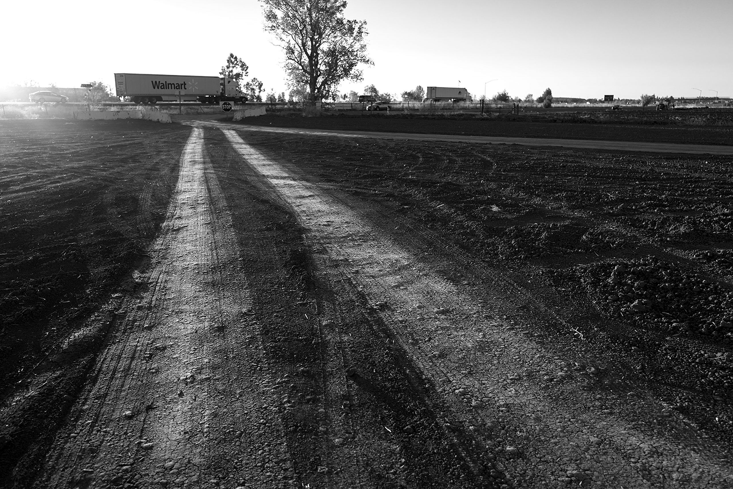 B&W Walmark truck on highway in Califriina 