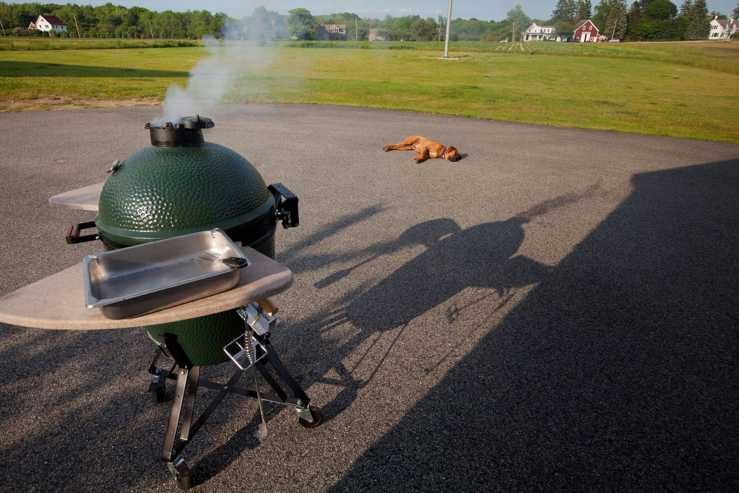 summer time dinner Green egg smoking Rhodesian ridgeback sleeping Cape elizebeth maine