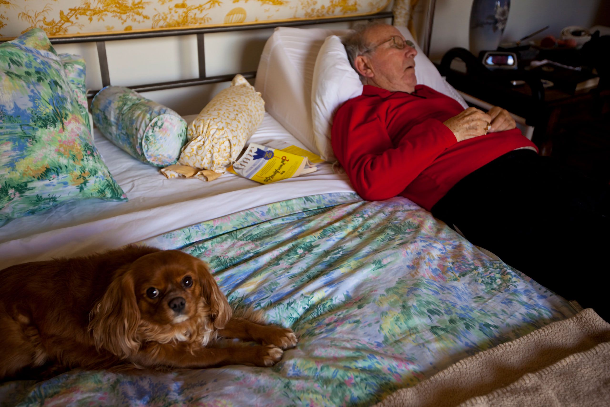 Old man Floyd Roos sleeping with Cavalier King Charles Spaniel looking on