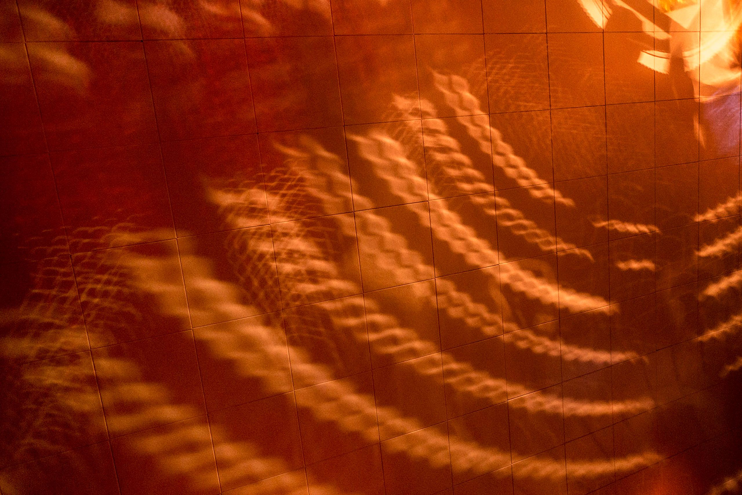 what the what abstract image