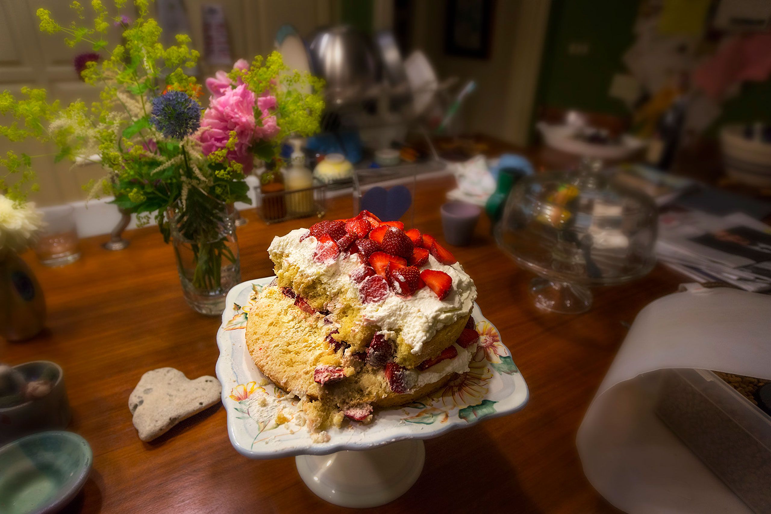 Dog eaten strawberry short cake