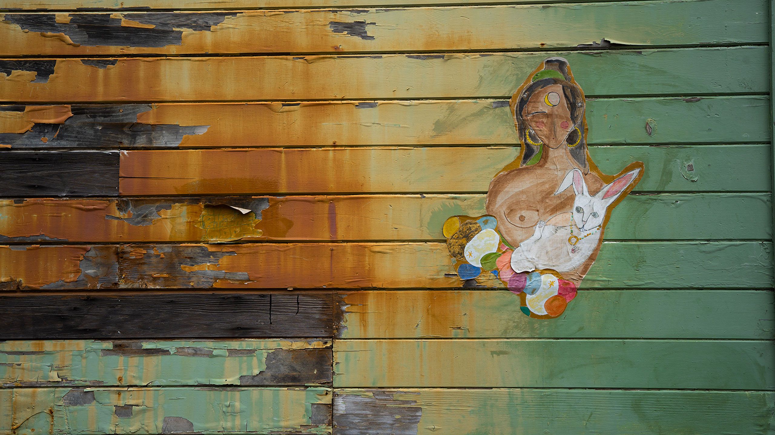 wall in Mendocino California 