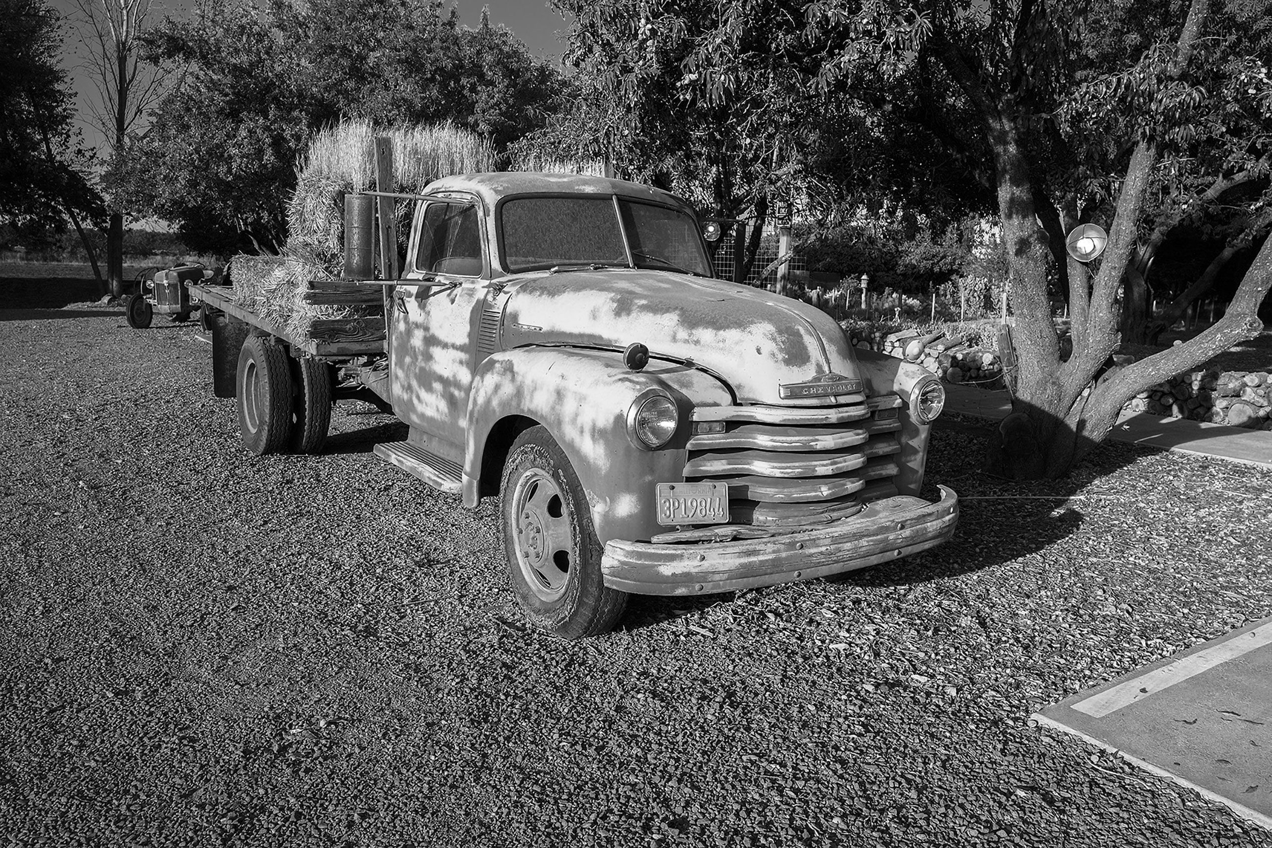 Old tuck Park Winters 