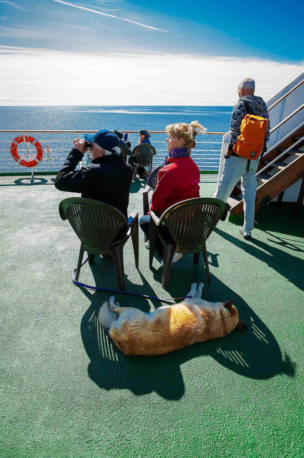 on the ferry to les iles de madeleine quebec CMTA vaction sleeping dog on deck