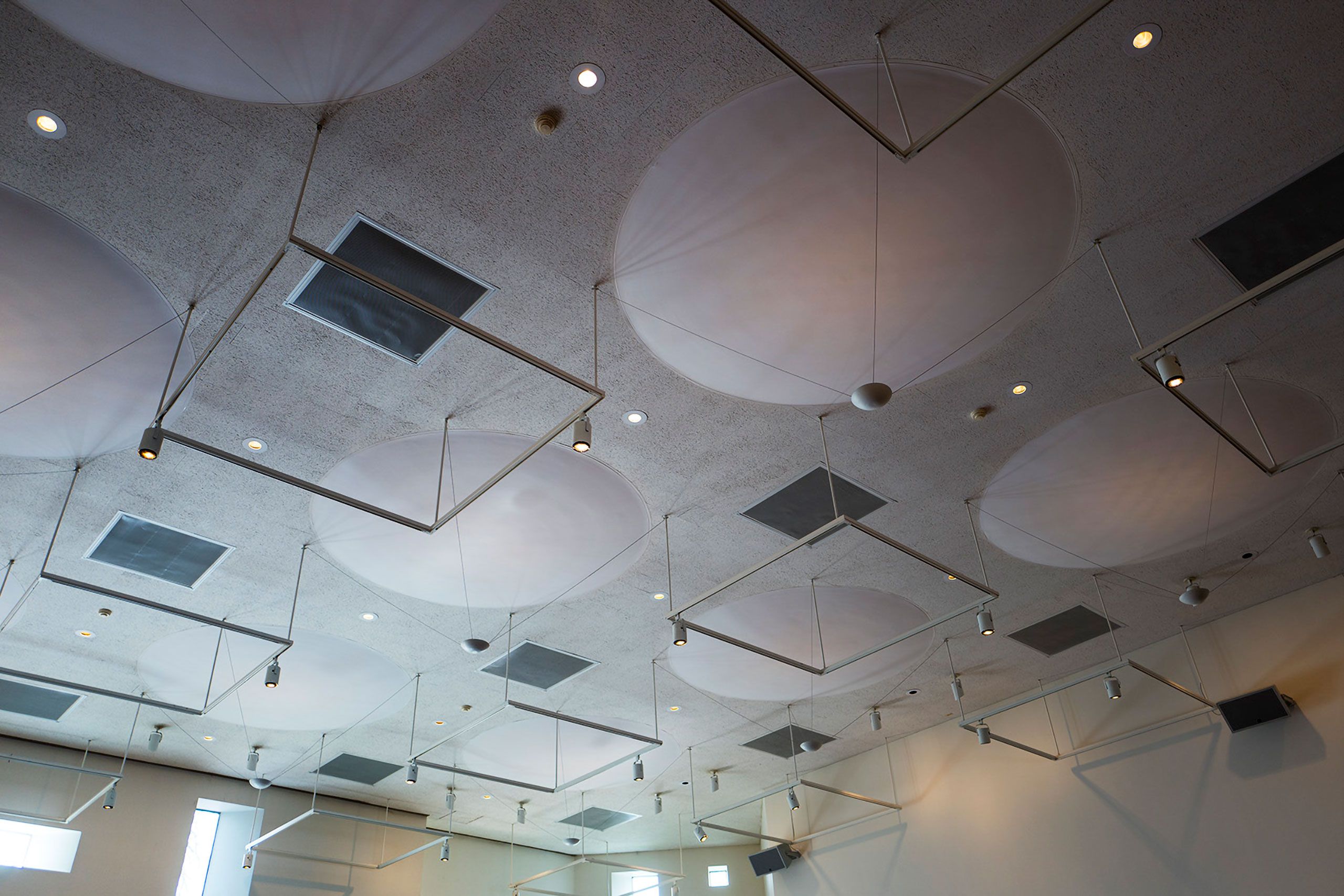ceiling in Denver Museum of Nature & Science