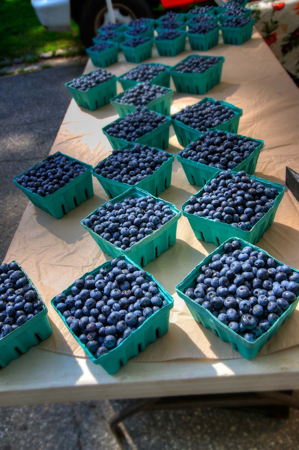 Blue berries farmers  market Portland Maine