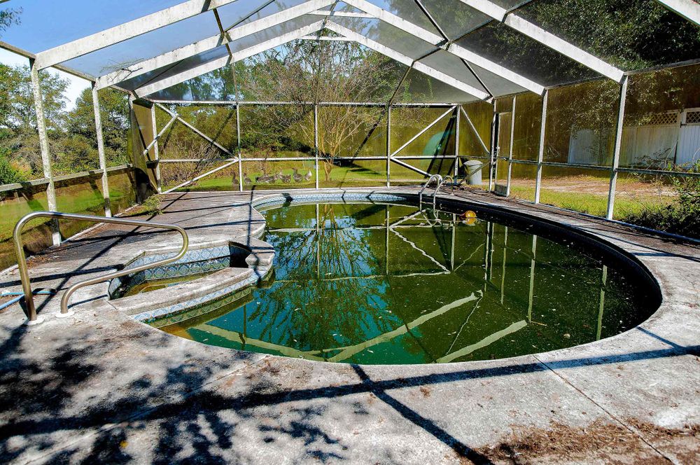 old pool abandoned  in Florida slime