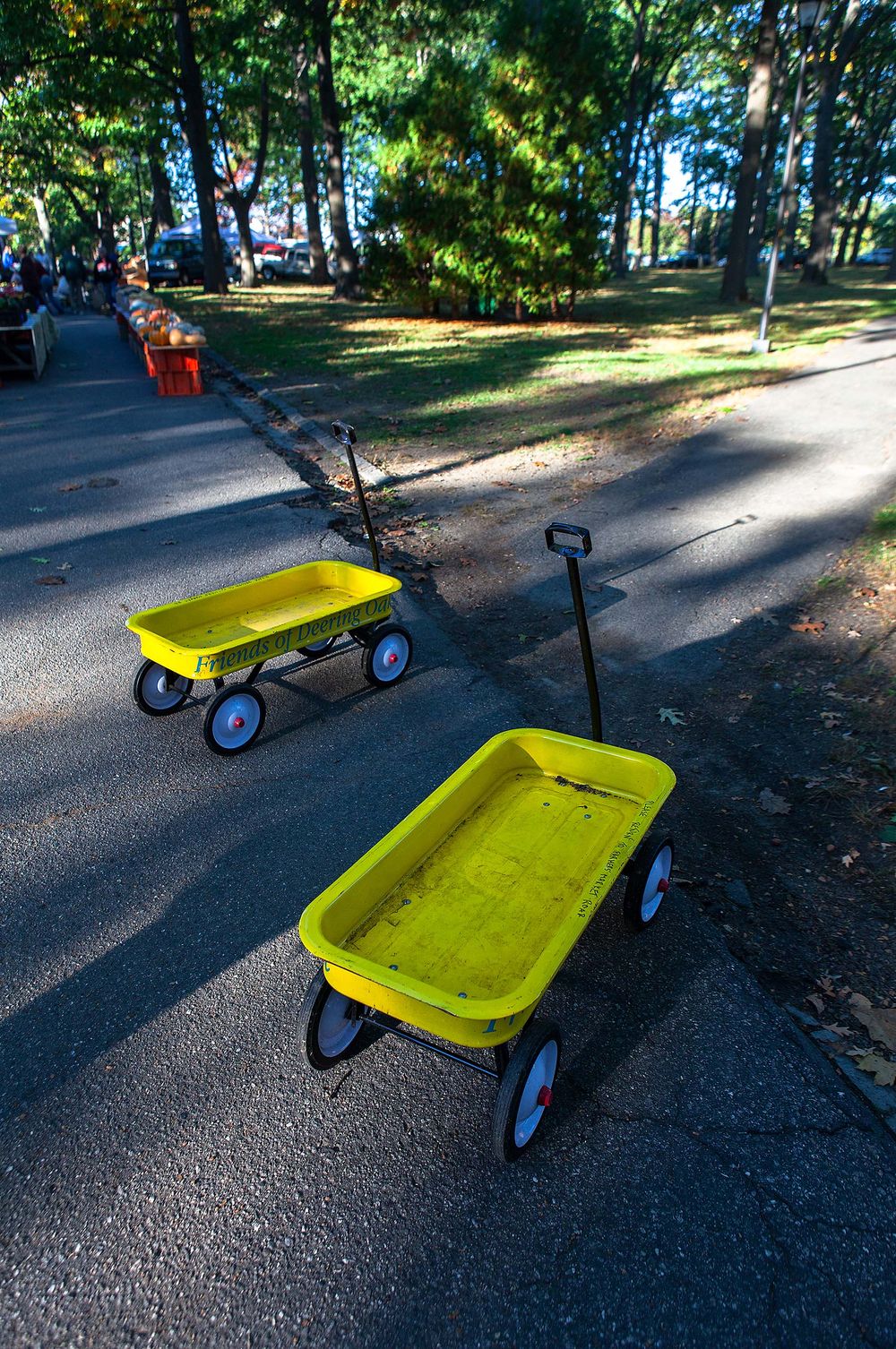 Waggons at farmers market in portland maine
