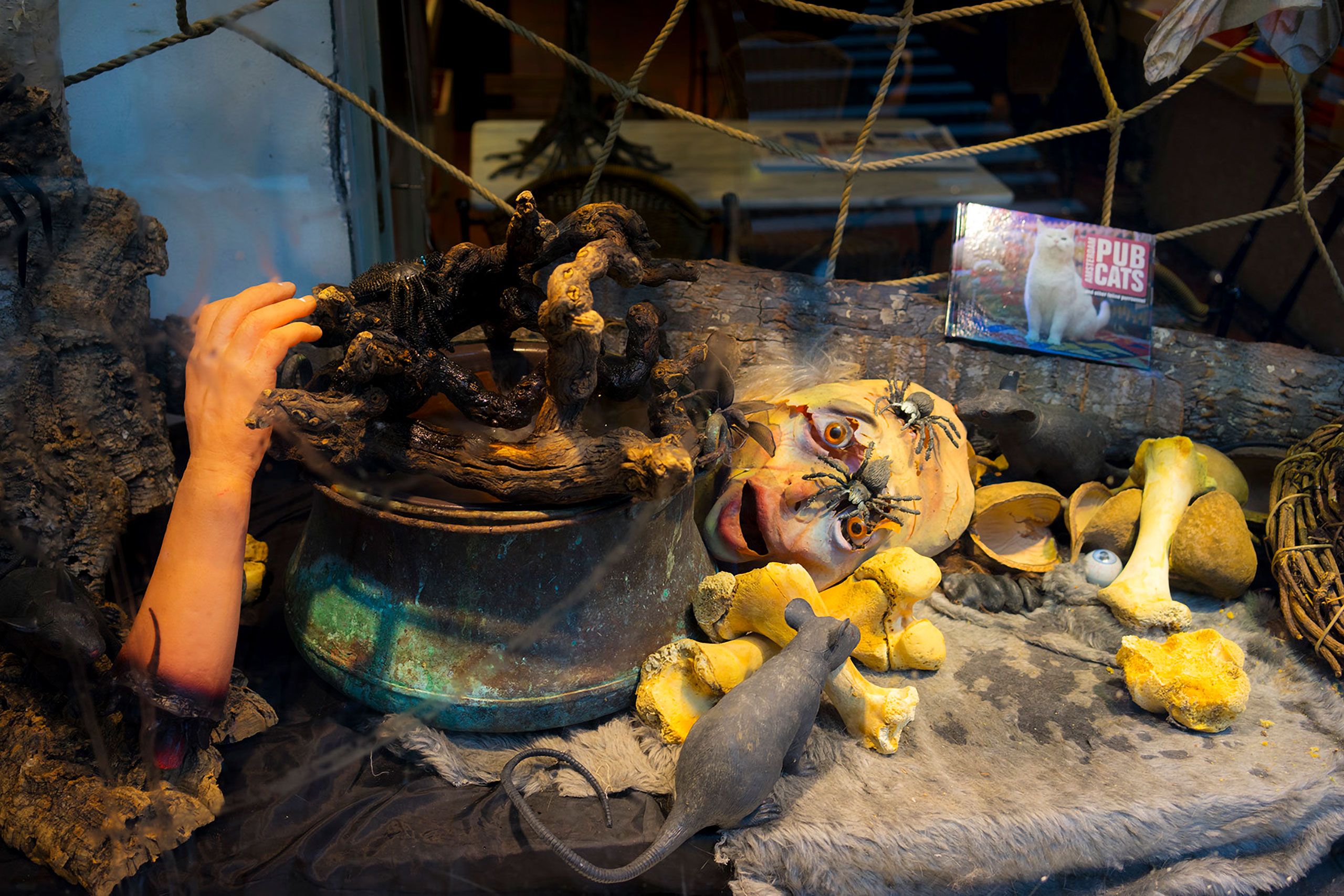 fake rats in store window amsterdam 