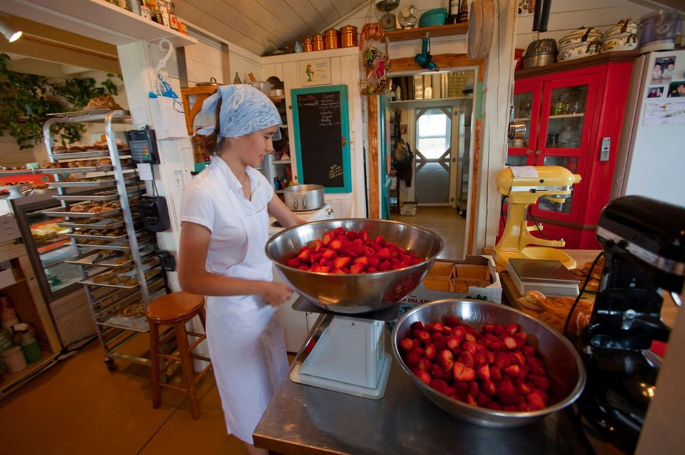 Commercial bakery Pâtisserie Hélène des iles Hélène Des Iles Les Îles de la Madeleine Quebec fraise strawberry