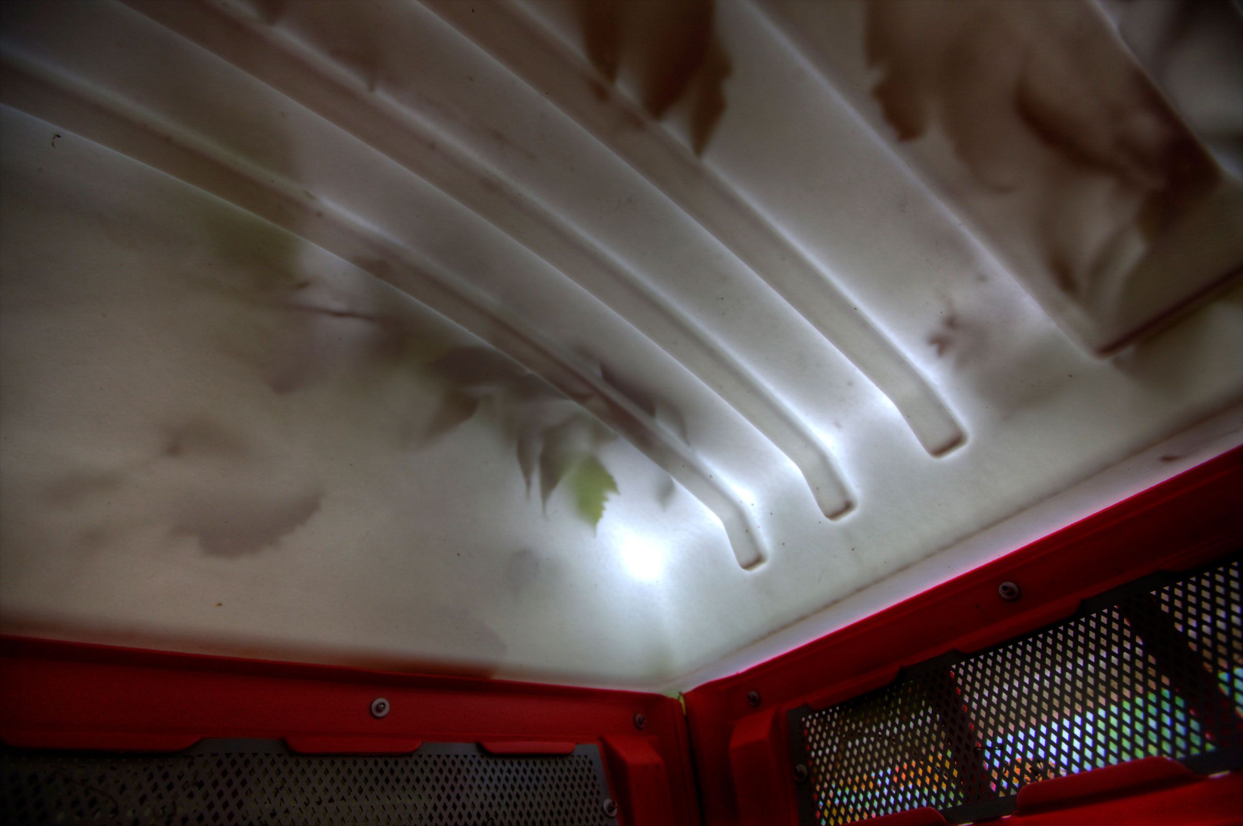 leafs on Roof of porta potty