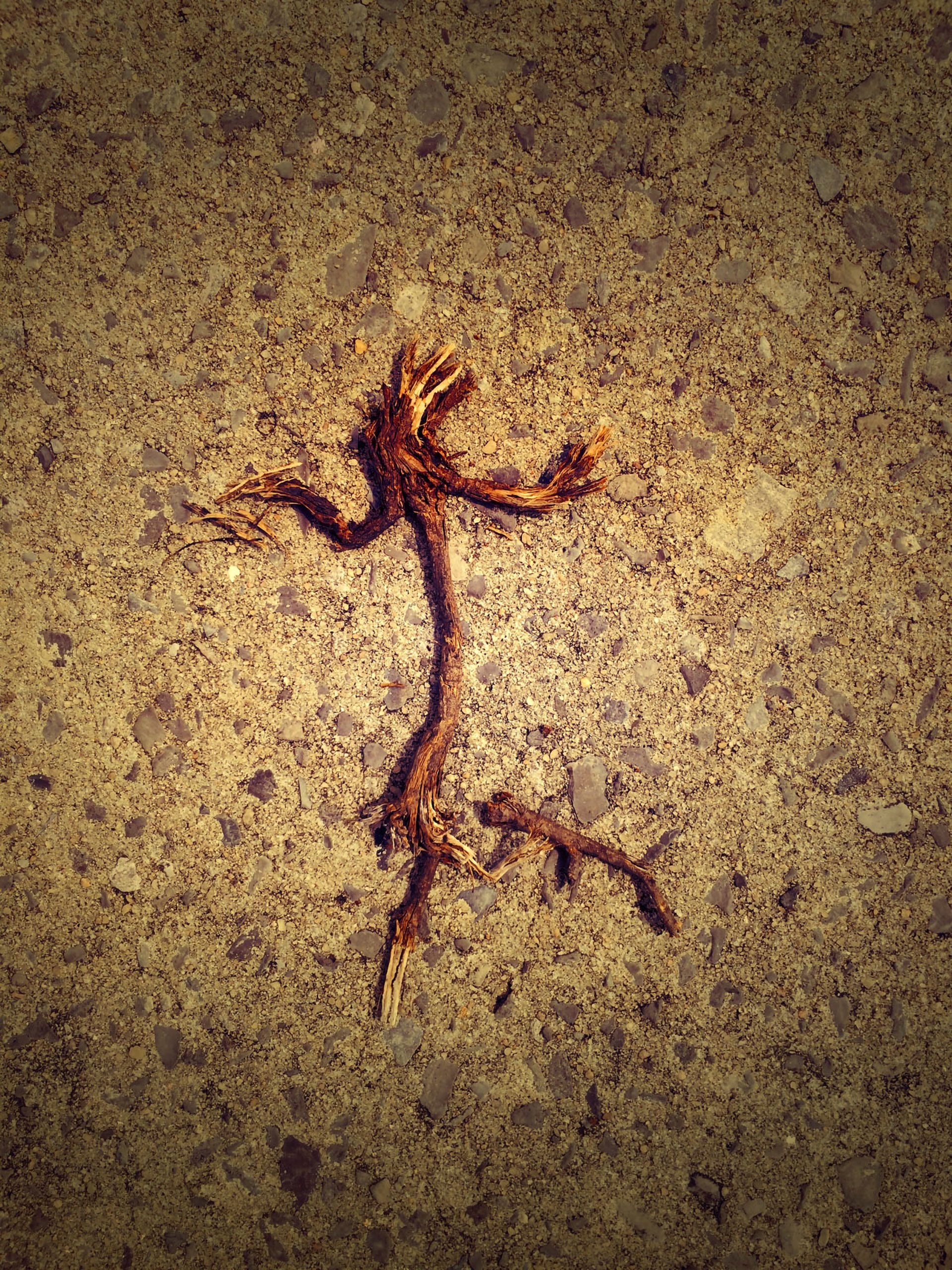 naturally made stick figure in road Santa Rosa Beach Florida Blue mountain beach