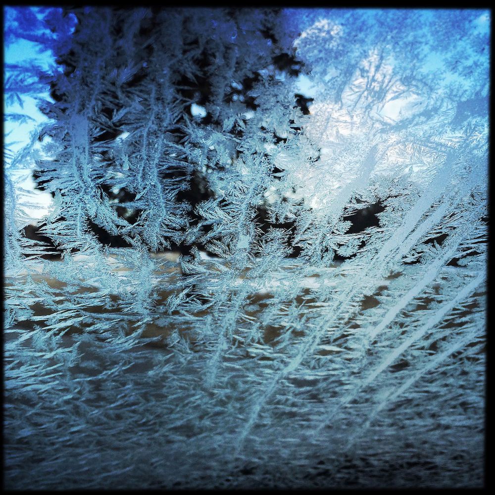Frost on windshield
