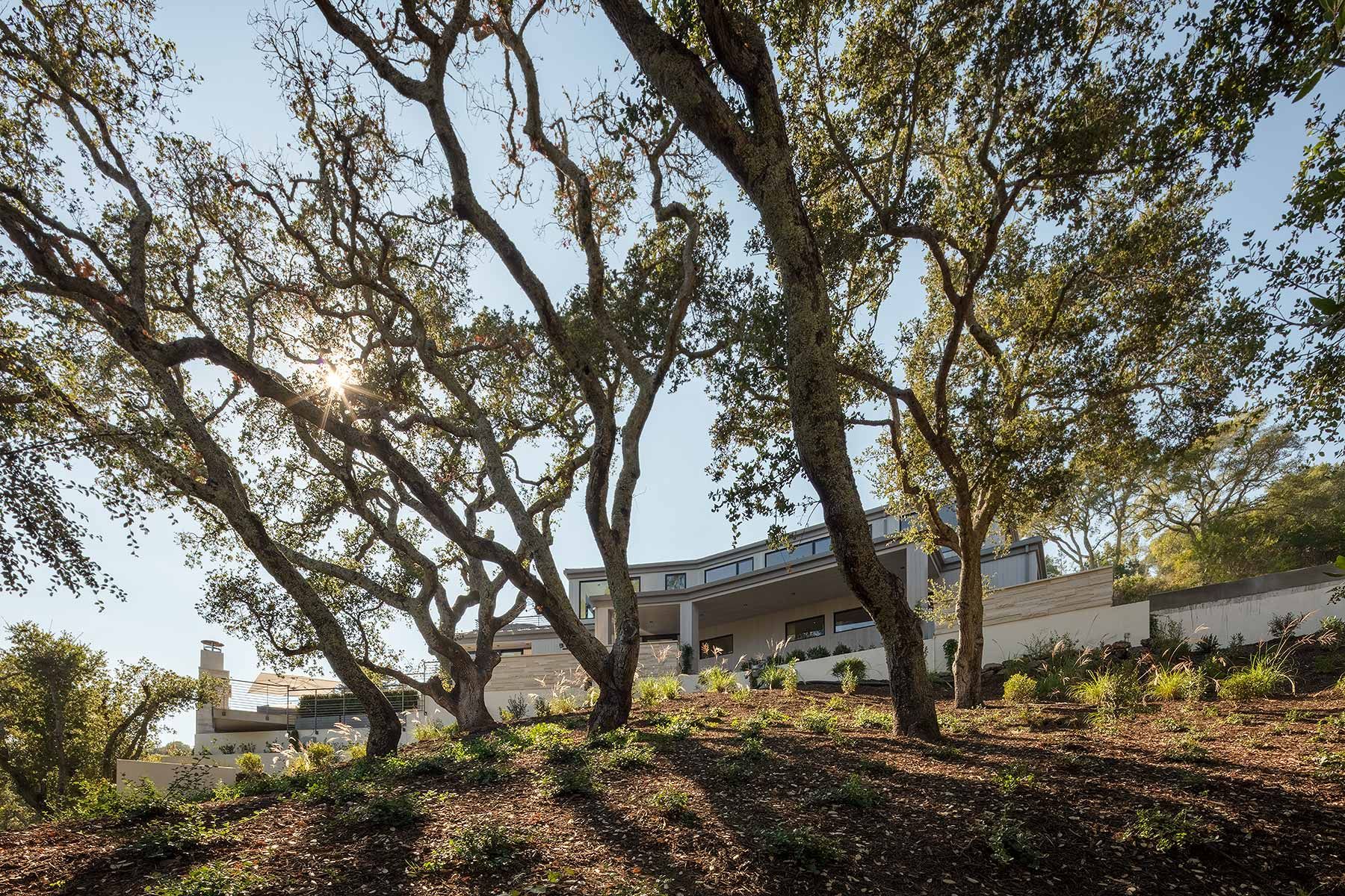 Martin Kobus Home, Steve Wisenbaker Architects