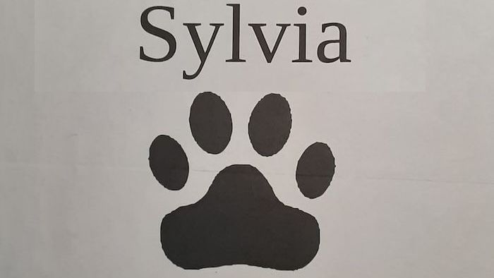 Sylvia poster hero image.jpg
