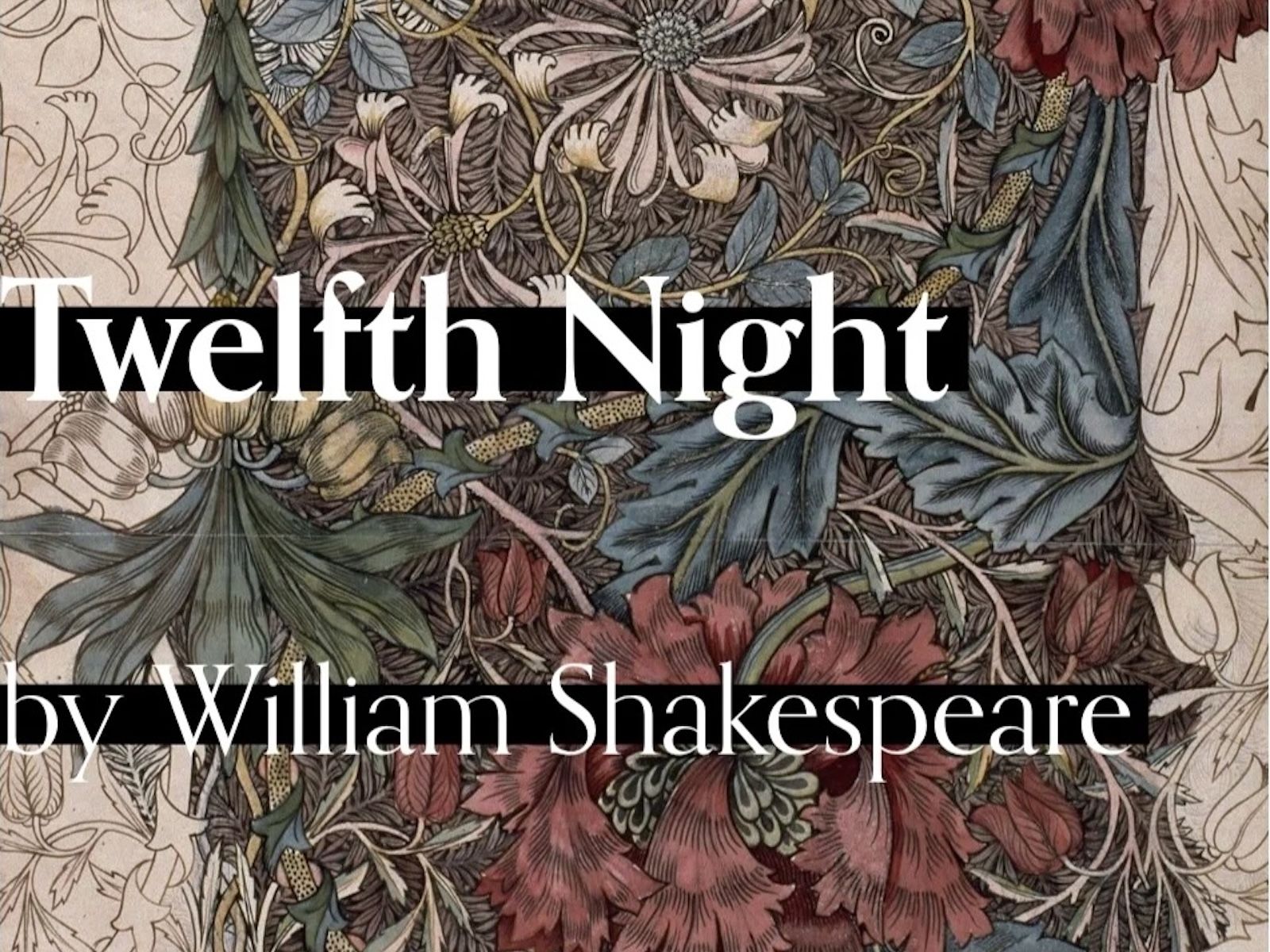 12th Night being presented by Inferno Theater in Berkeley 12th night.jpg