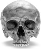 Yorick's skull