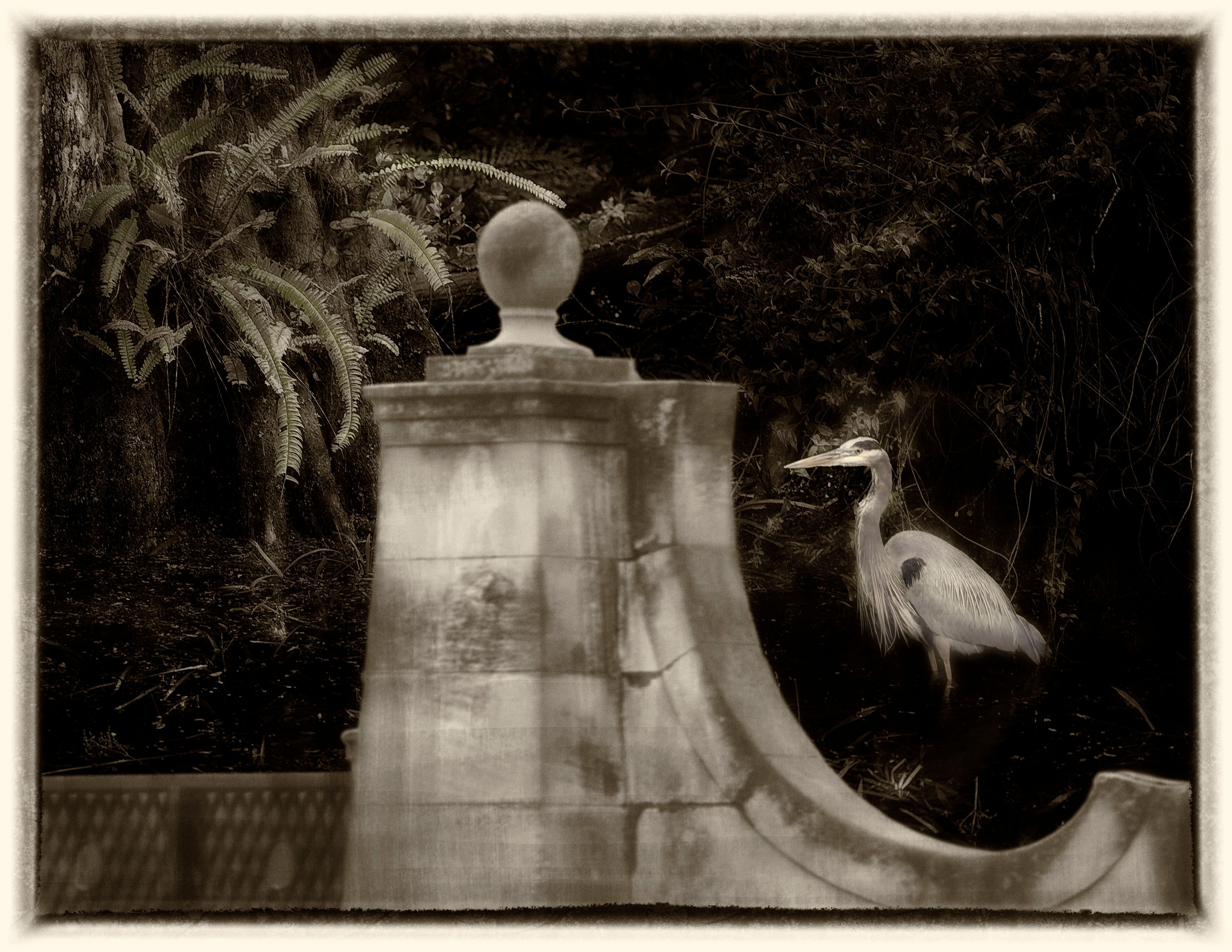 2013 image render presentation - 014.jpg