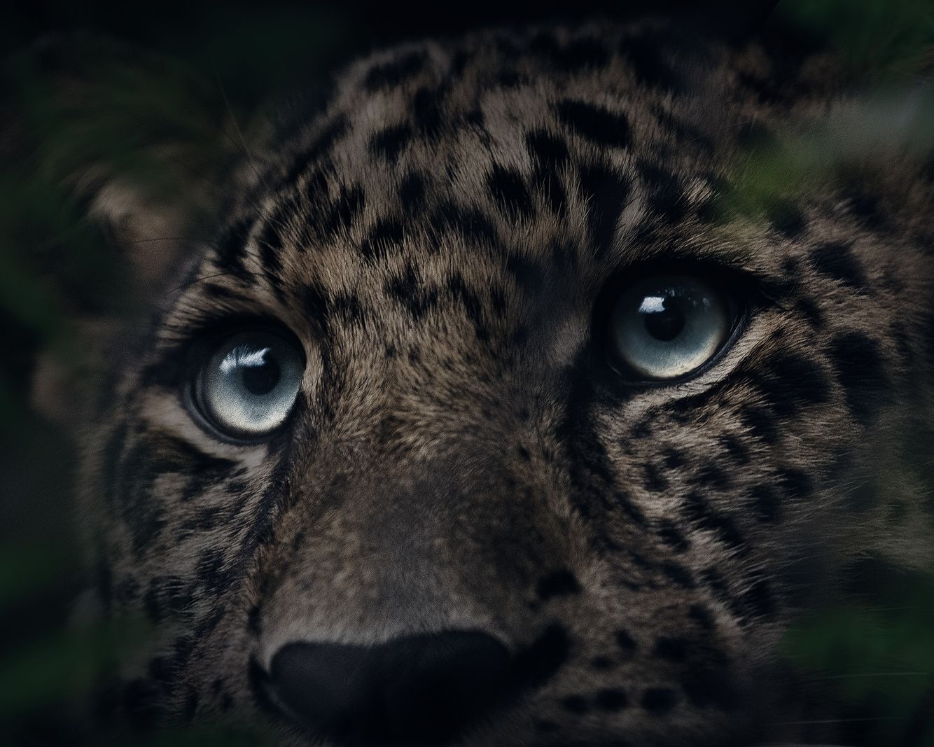 Opelika Alabama Commercial Photographer