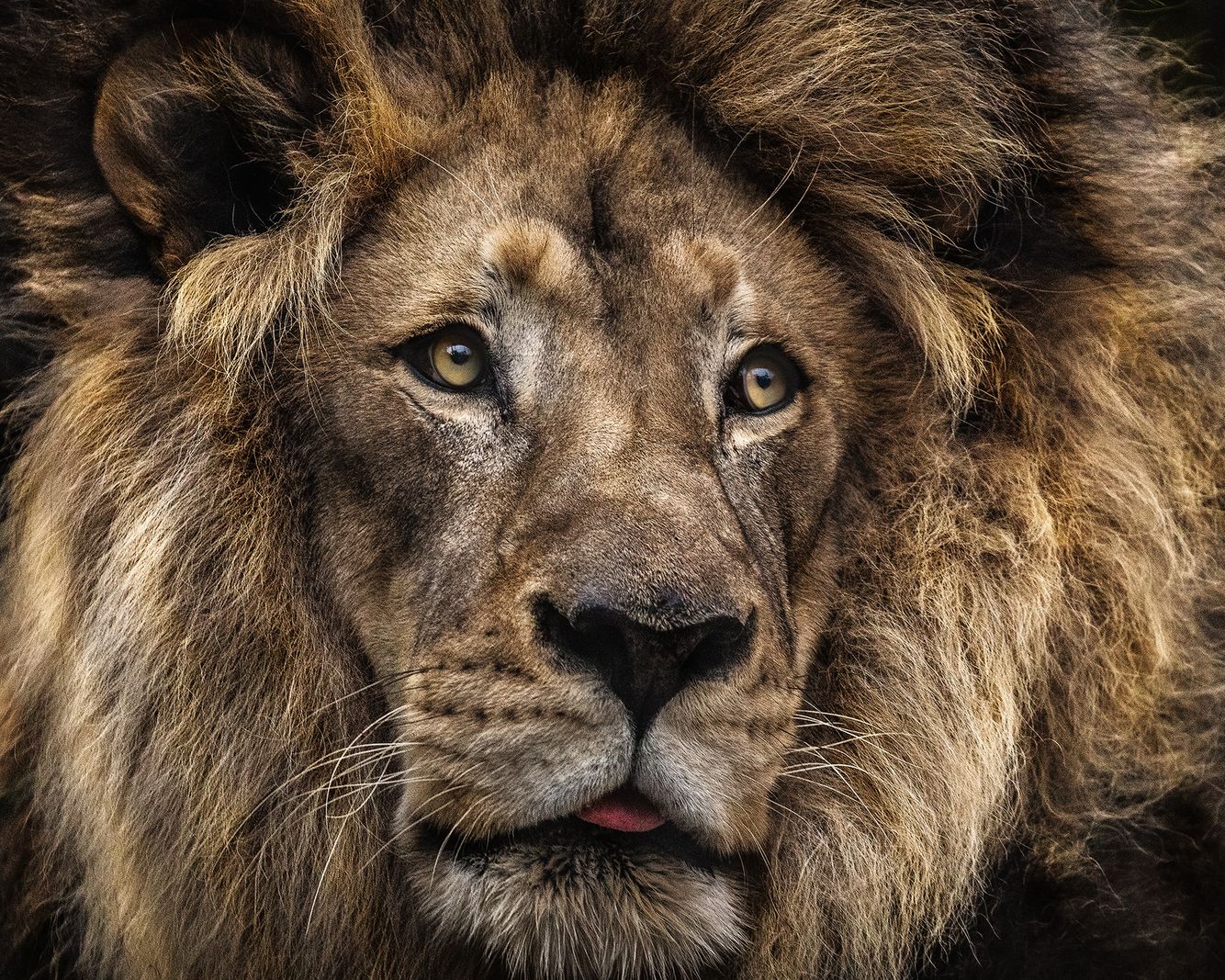 Opelika Alabama Commercial Photographer